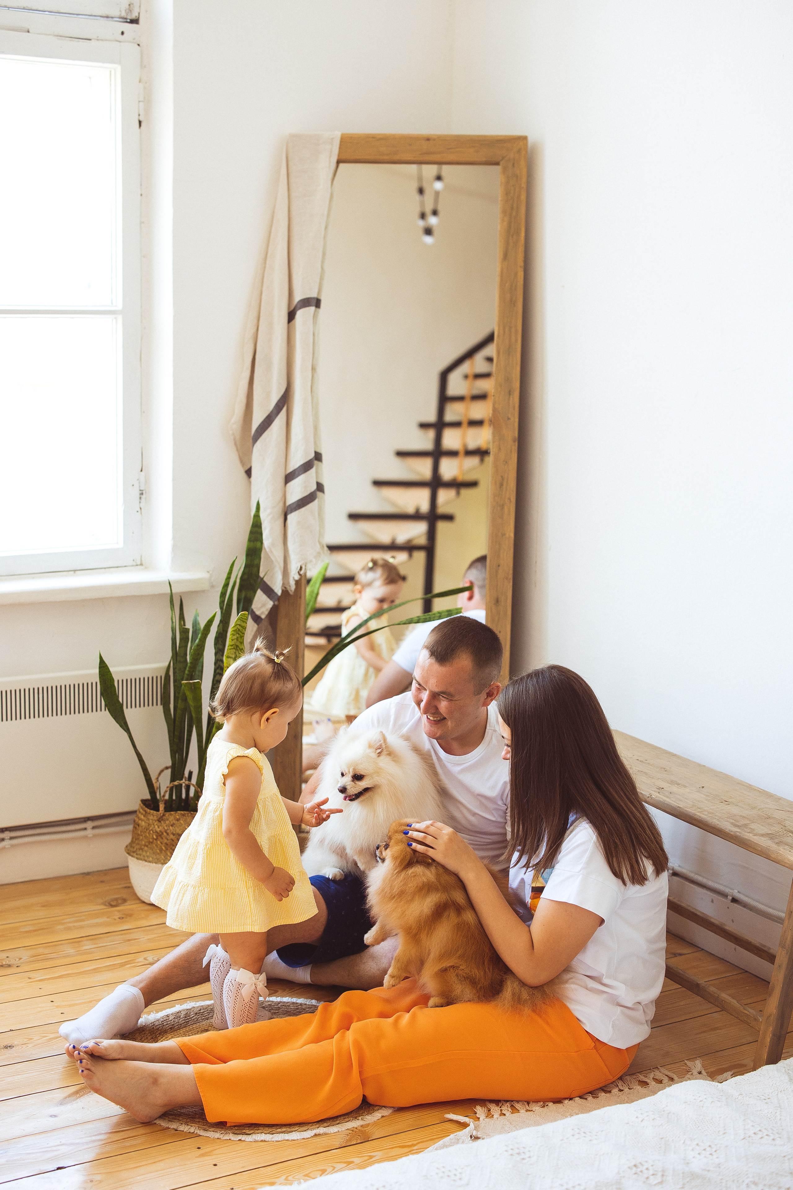 Собачки (шпицы). Семейный и детский фотограф в Краснодаре Анна Трашкова