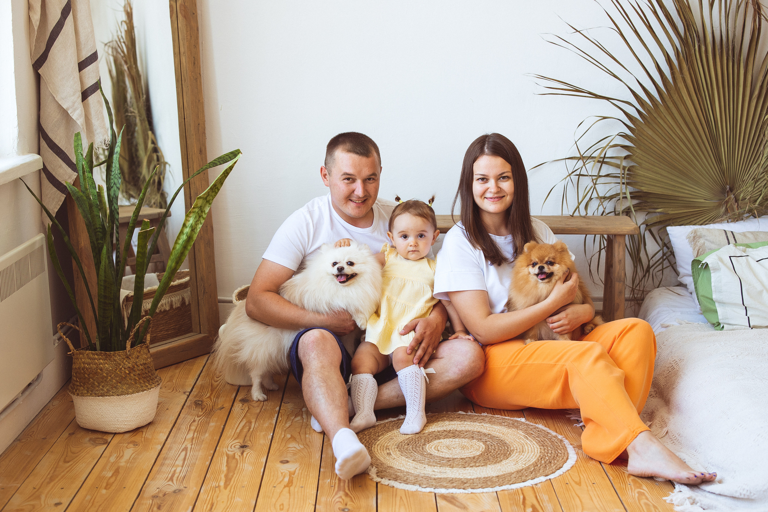 Собачки (шпицы). Семейный и детский фотограф в Краснодаре Анна Трашкова