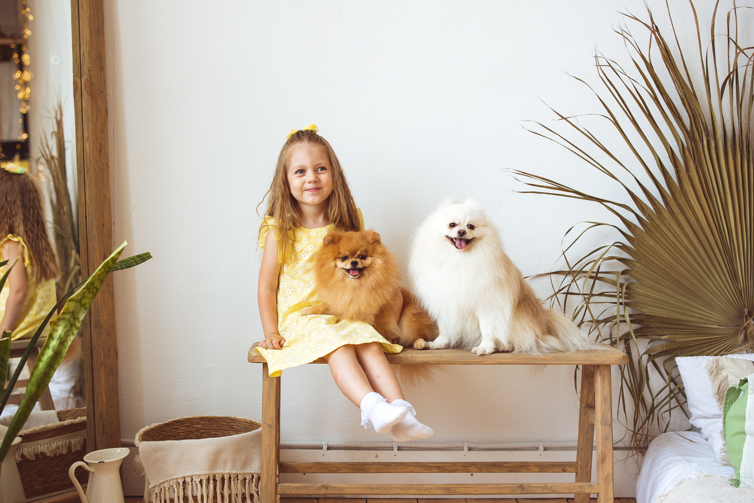 Собачки (шпицы). Семейный и детский фотограф в Краснодаре Анна Трашкова