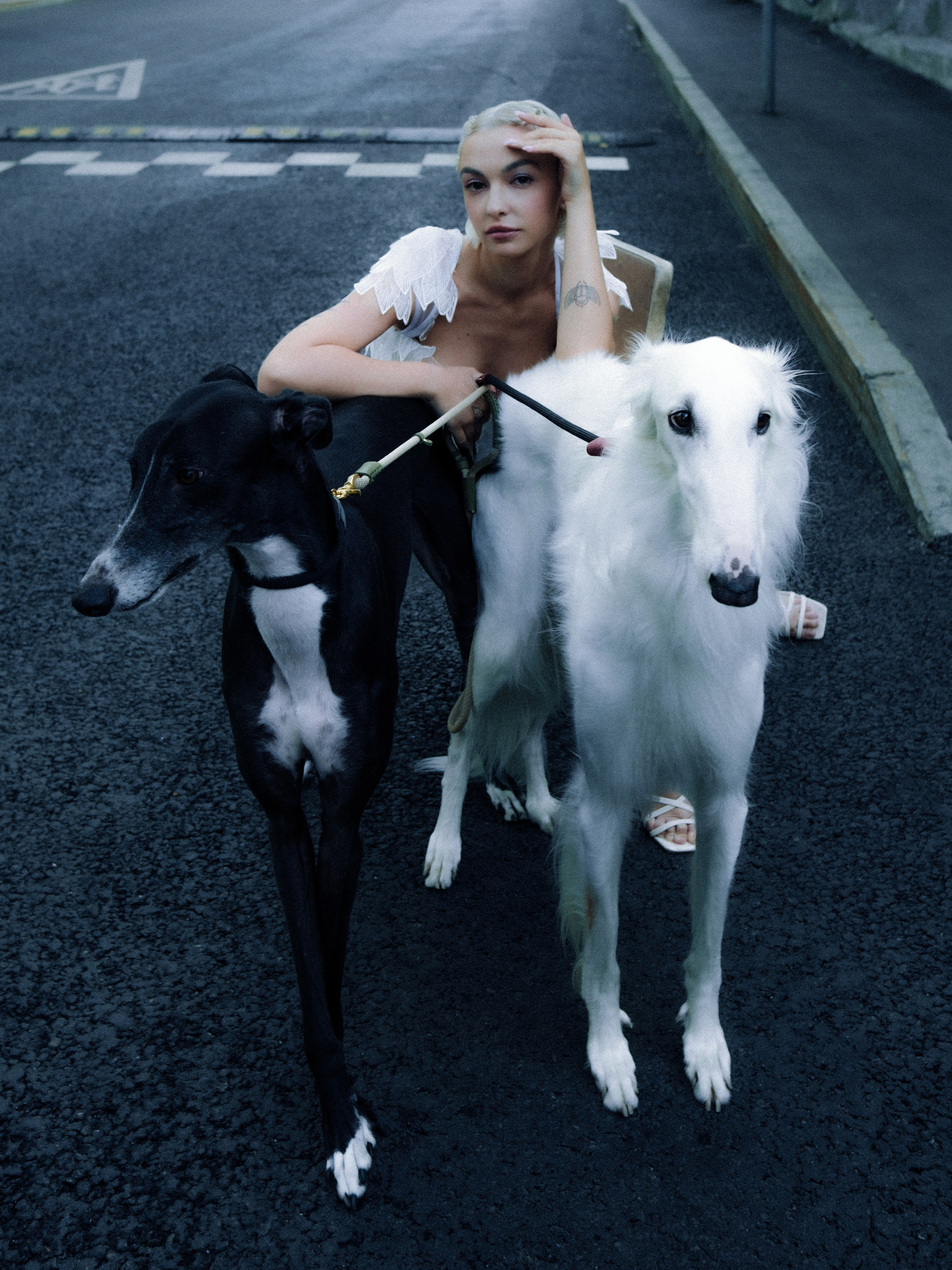 Dogbar. Dariaegudina.ru