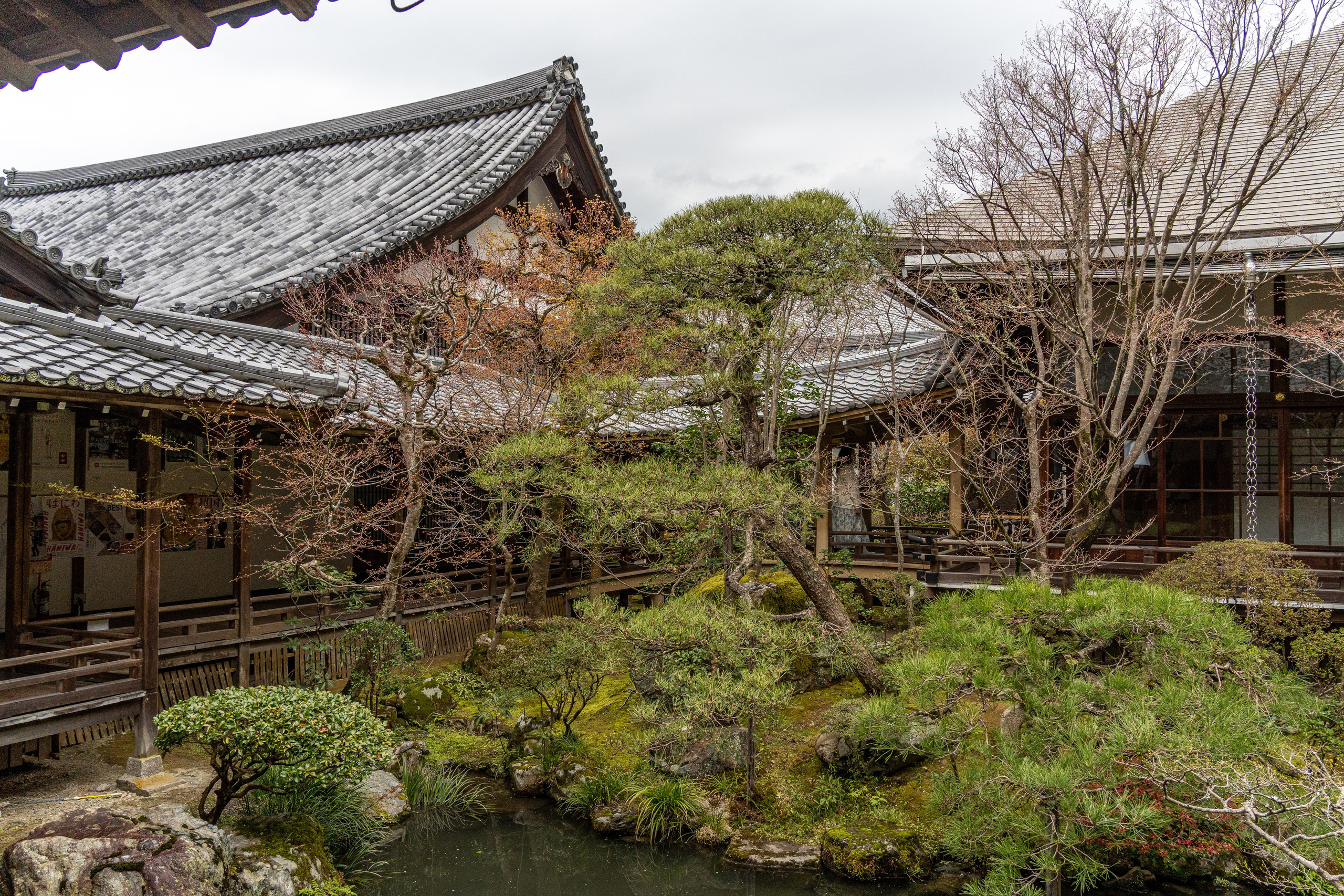 Япония, сакура. Творческие сьемки