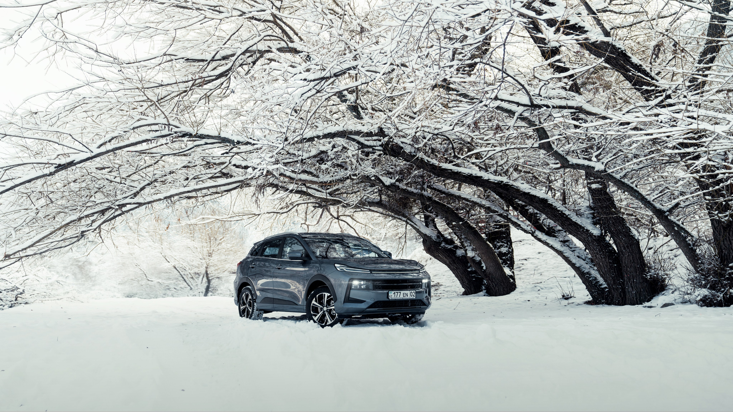 JAC. Фотограф TAULAN_1