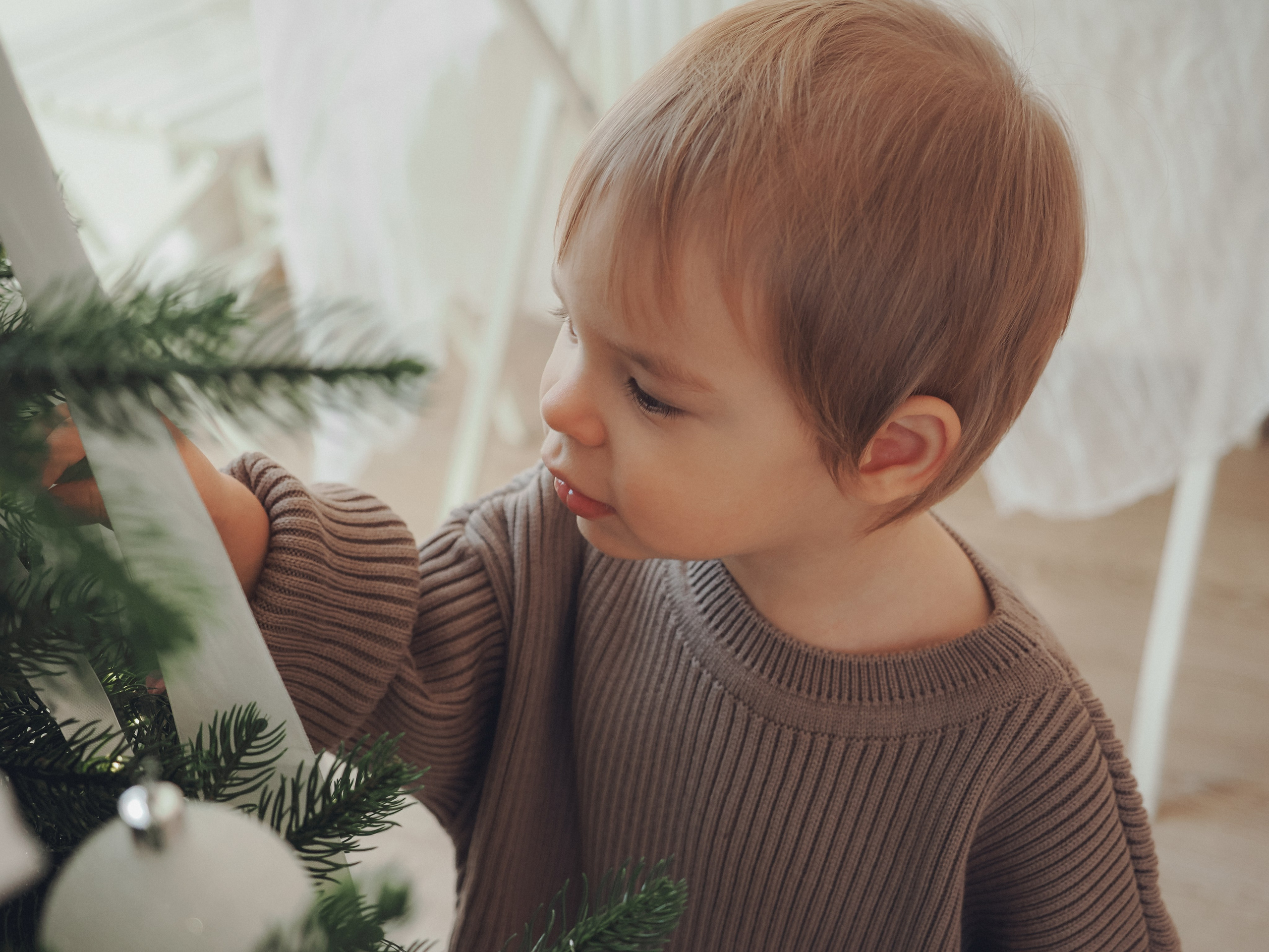 Женя с Новым годом!. Фотограф в Москве — Сергей Люкшинов