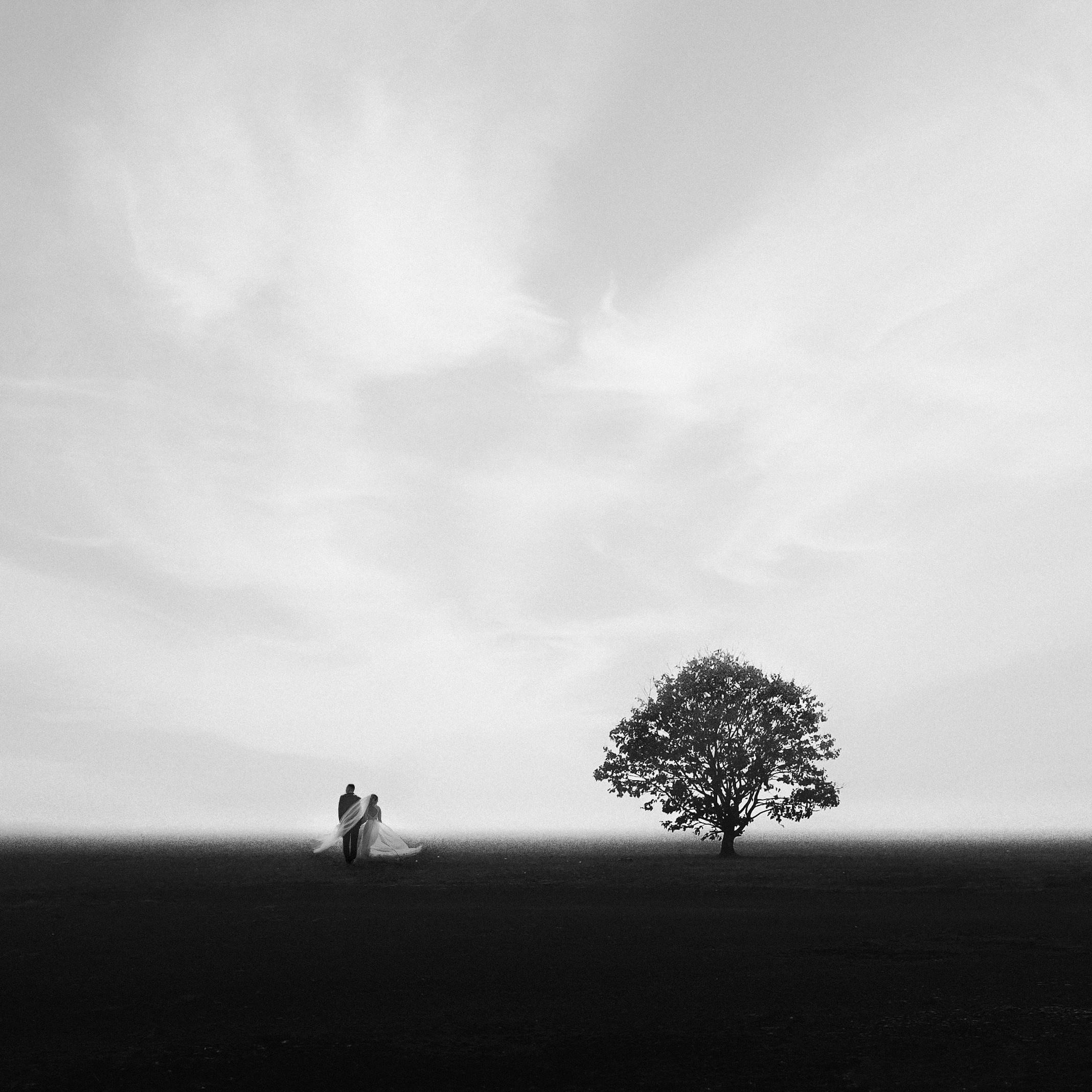 WEDDING 2023-2025. Свадебный Фотограф Максим Пустовой