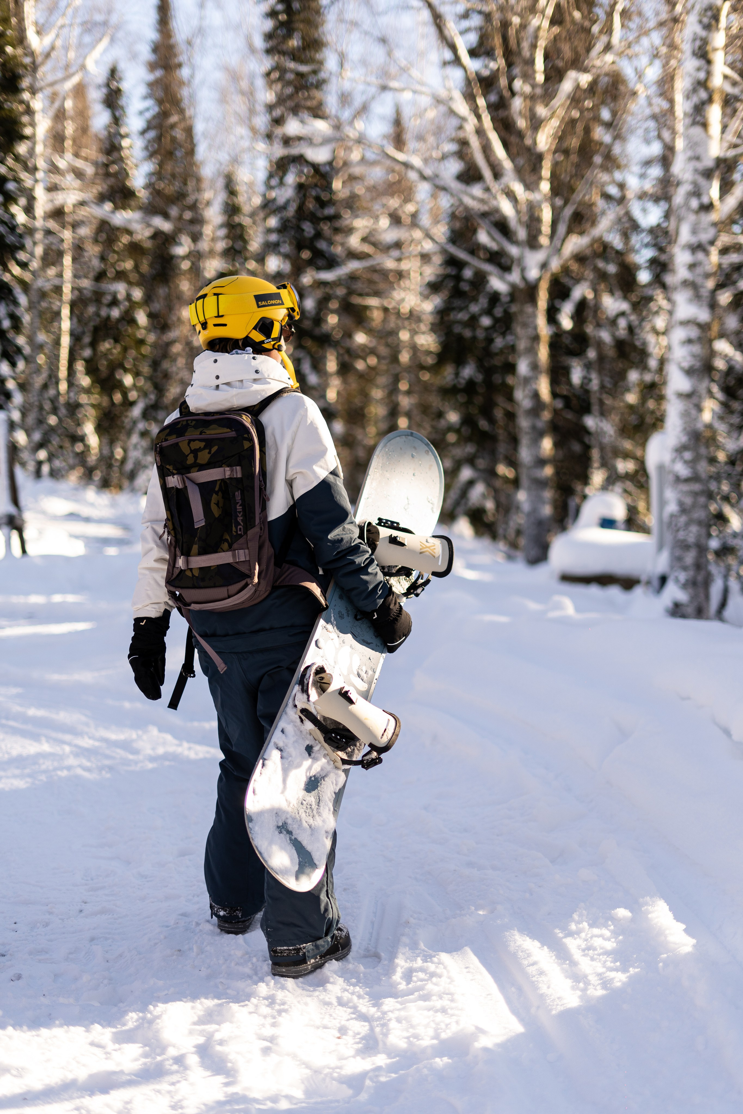 Джой. Анастасия Паршукова — фотограф Шерегеш Новосибирск