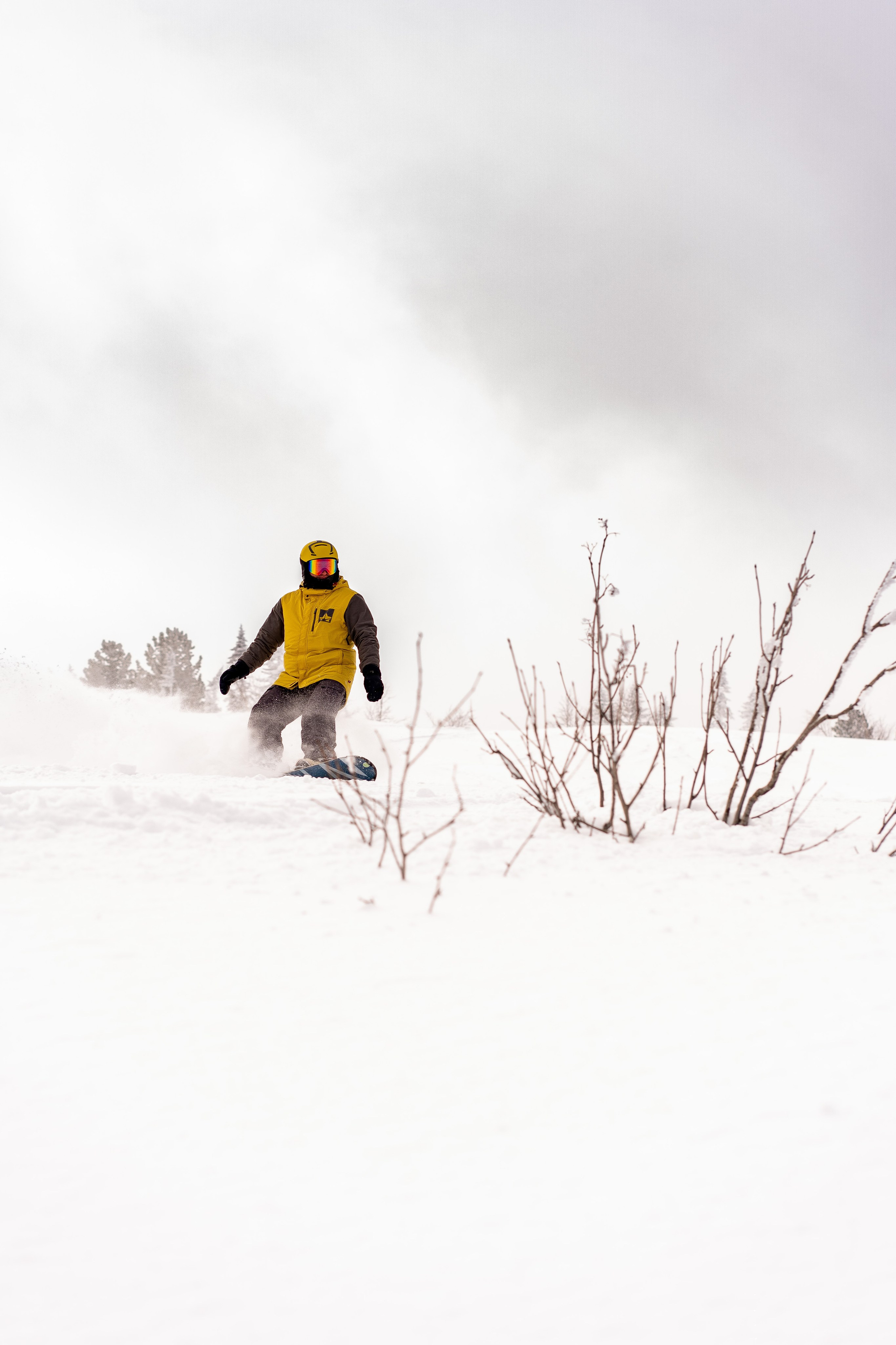 Фрирайд. Анастасия Паршукова — фотограф Шерегеш Новосибирск