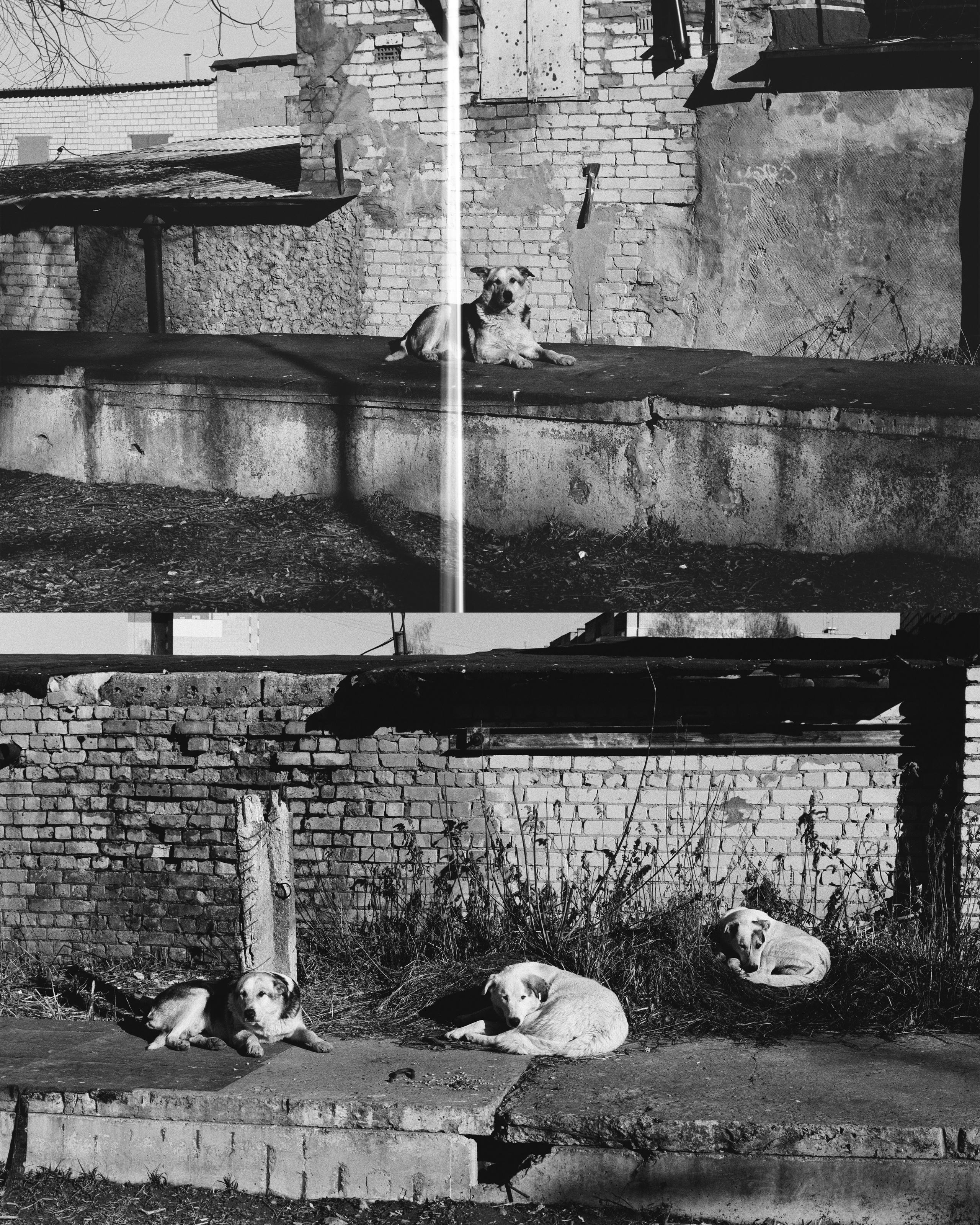 KALUGA. ANNA — PHOTOGRAPHER