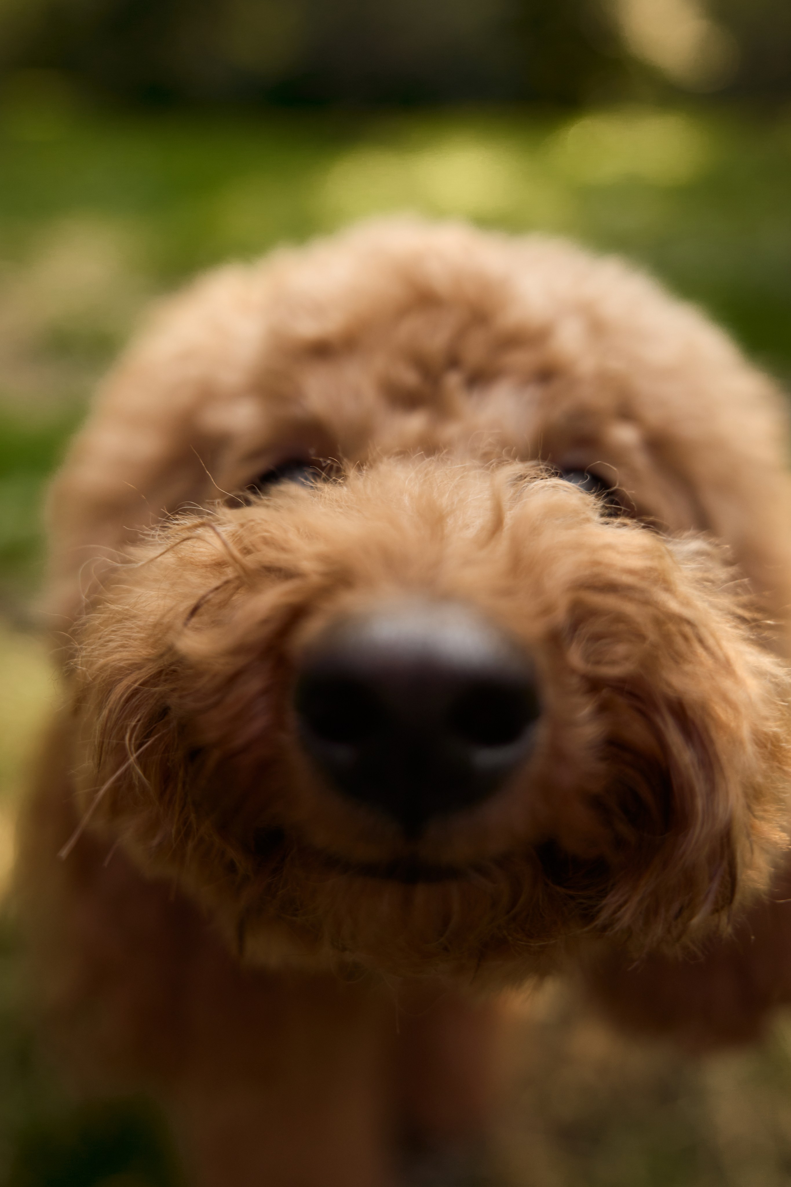 1+1=5. Фотограф Москва и Екатеринбург. Максимова Соня