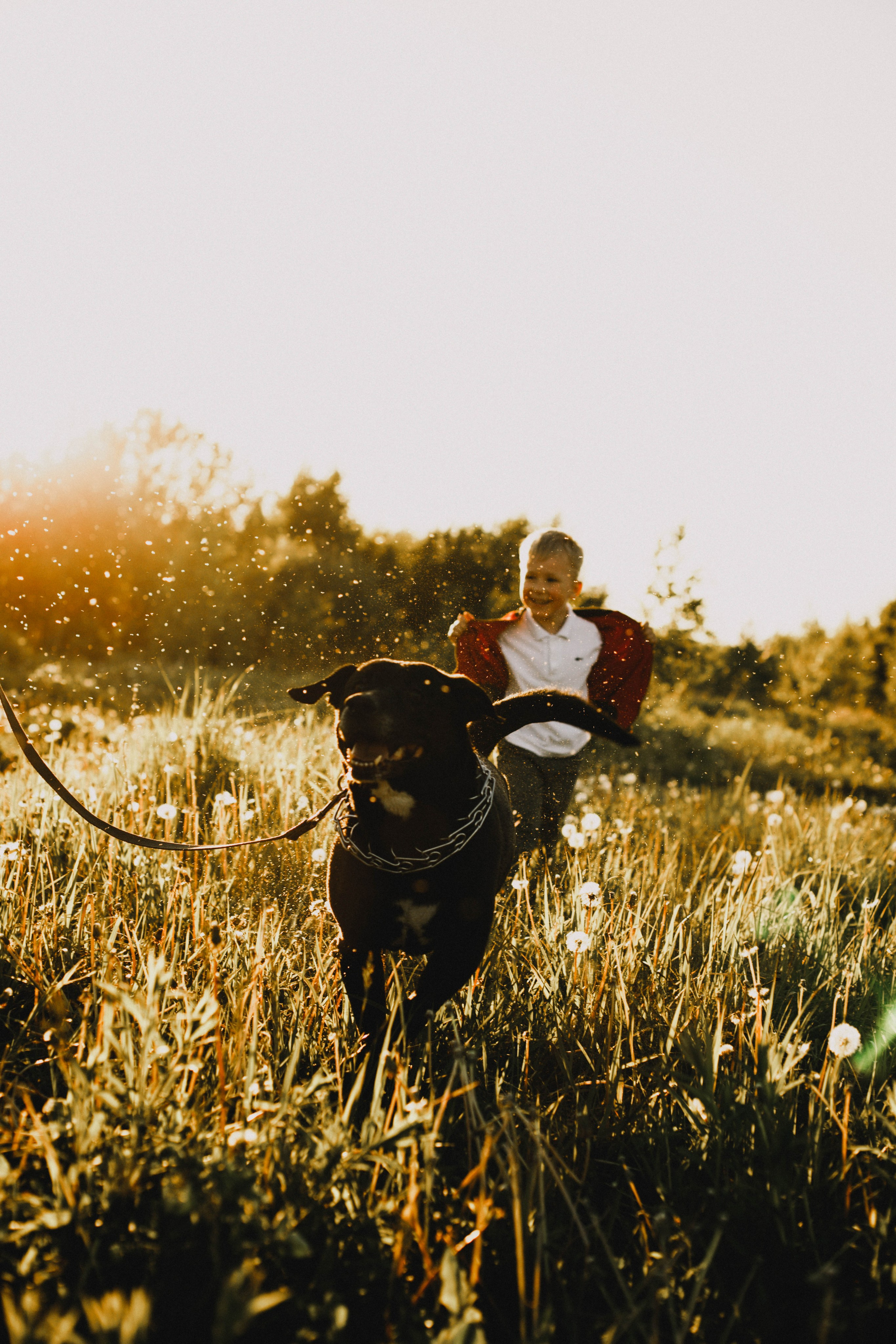 Гера и Примус. Фотограф в Нижнем Новгороде