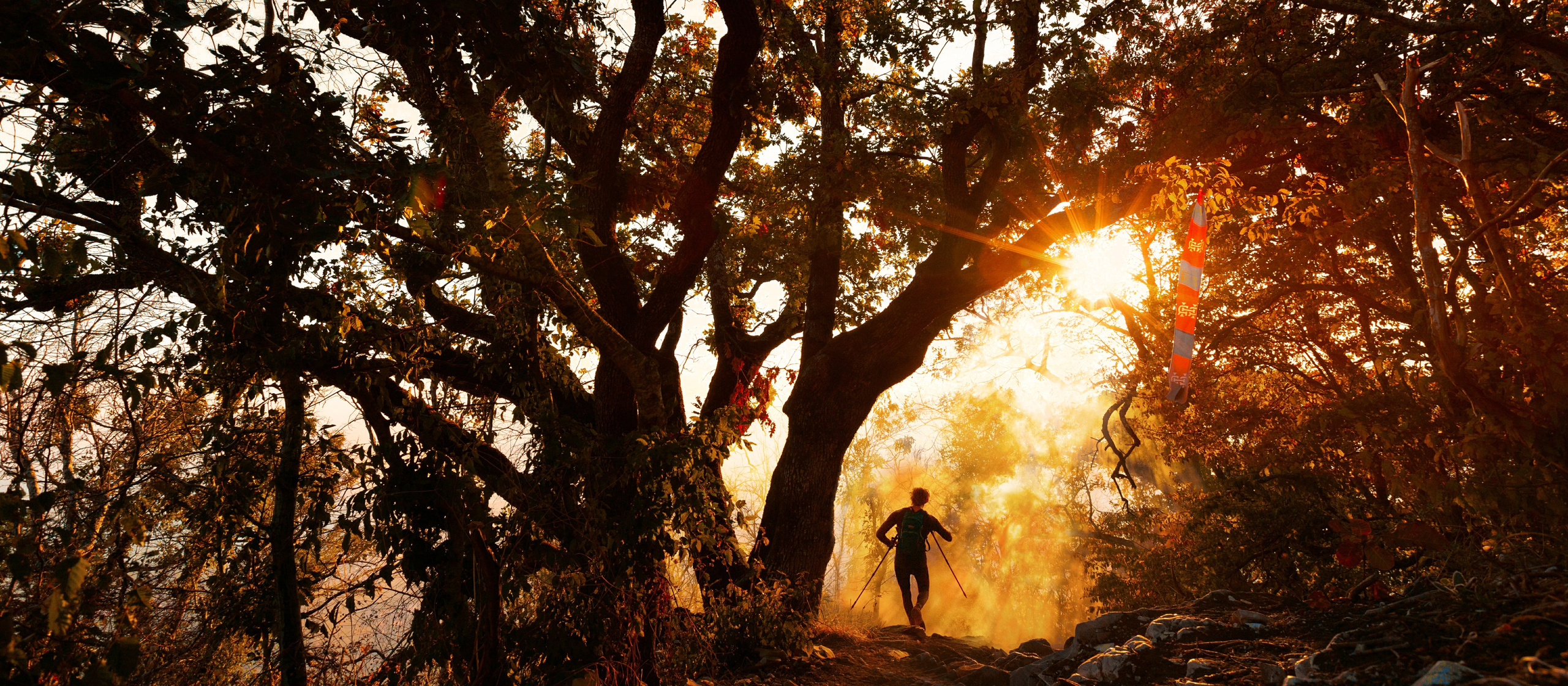 Трейлраннинг. Спортивный фотограф Тремпольцева Анна