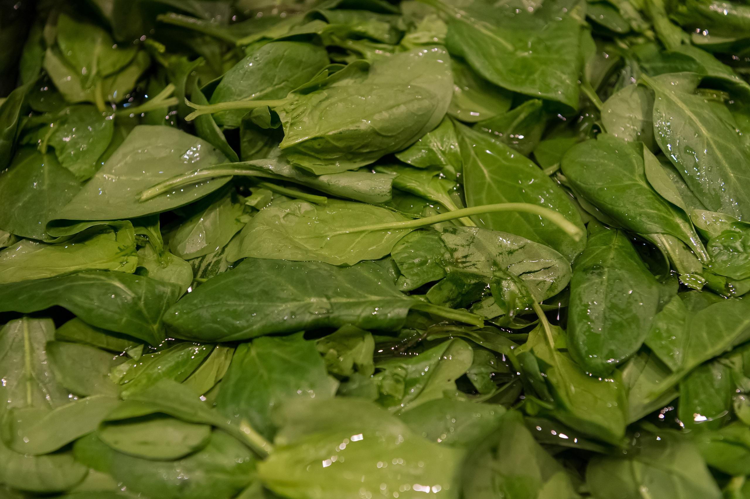 BORK. 2017. Дима Бабушкин. Фотограф. Подиум. Репортаж. Творчество. Дорого