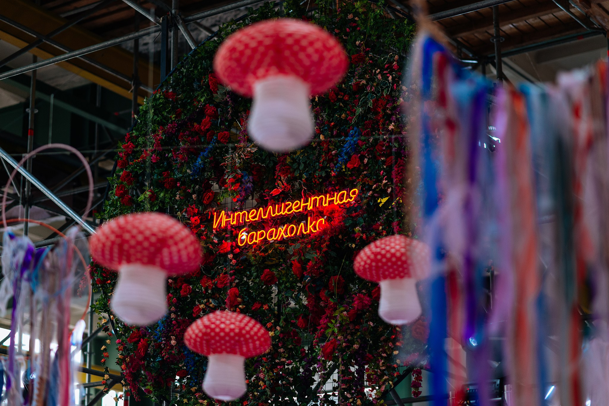 Интеллигентная барахолка. Март 24. Репортажный фотограф в Санкт-Петербурге Анастасия Клёпова