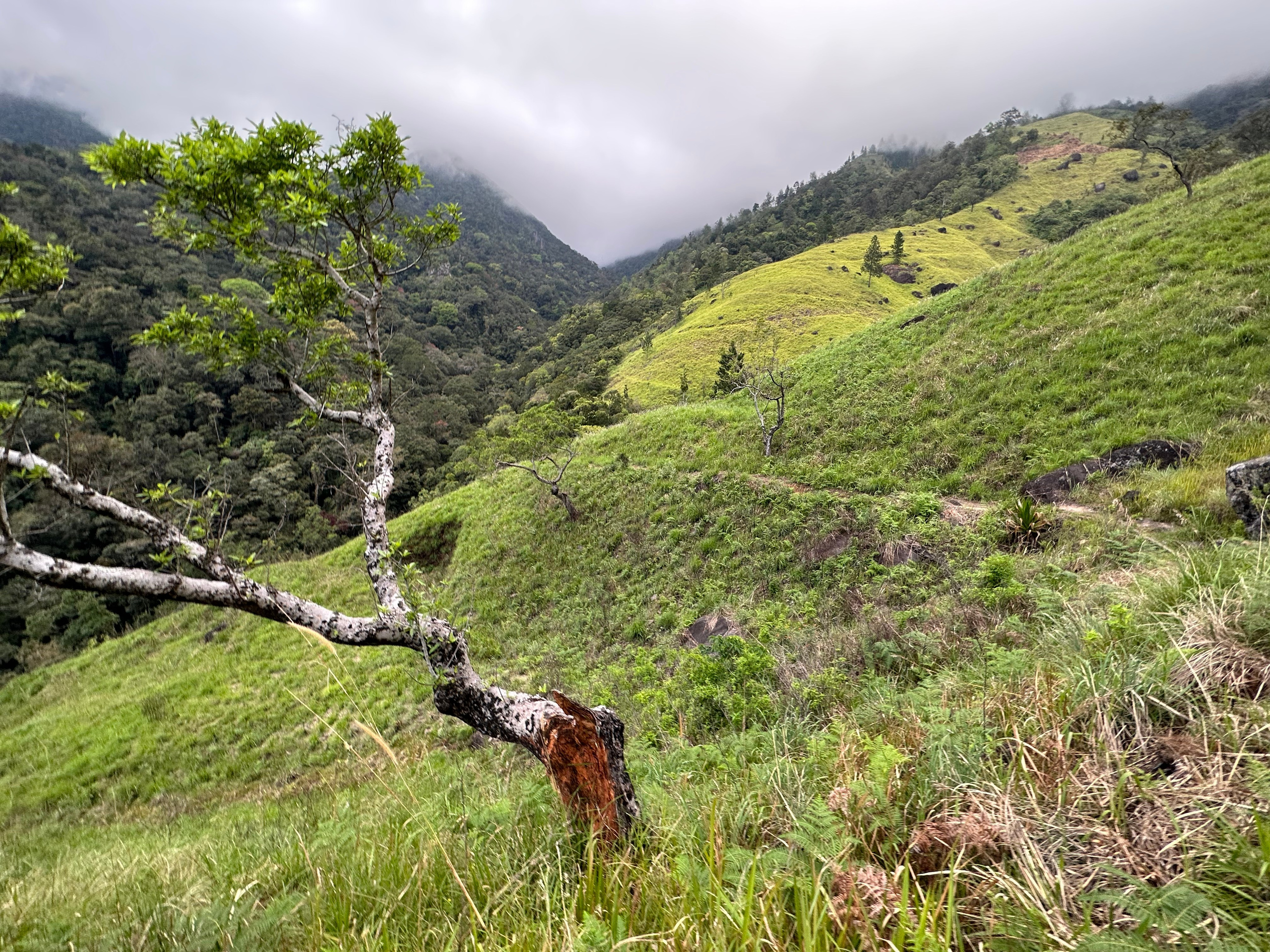 ascent into the mountains
