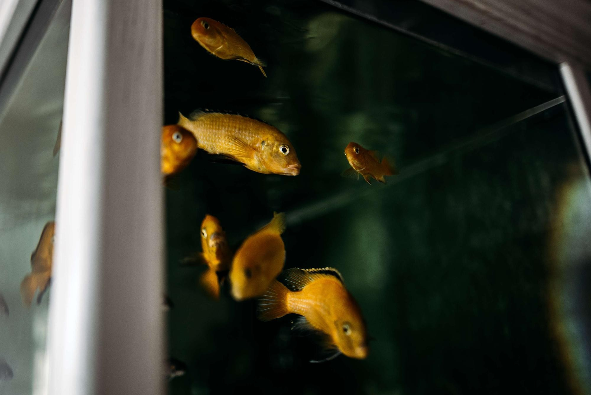 СЕМЕЙНЫЕ ВЫХОДНЫЕ. Свадебный фотограф в Ставрополе Сергей Шляхов