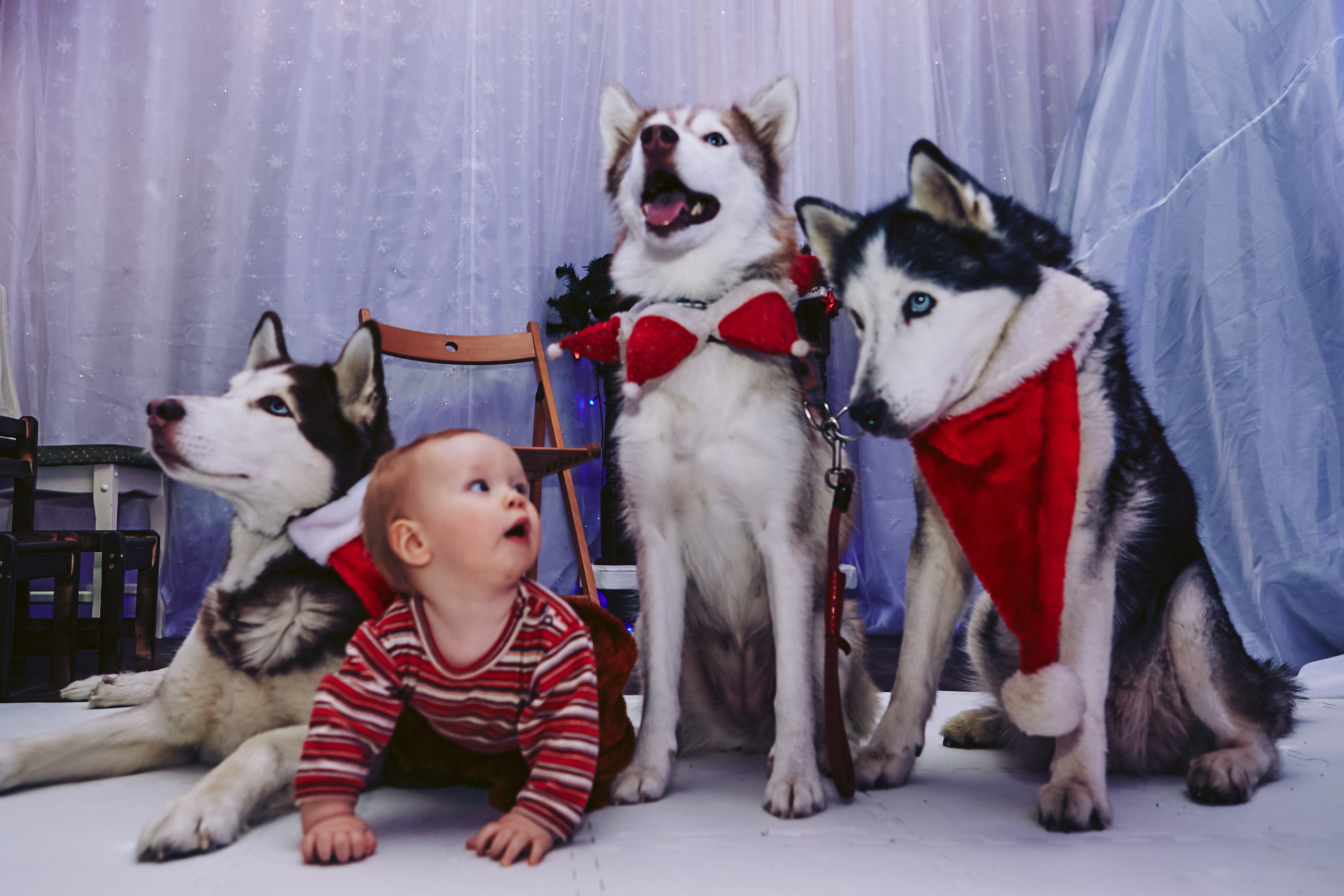 Дети. Visual artist Konstantin KoT