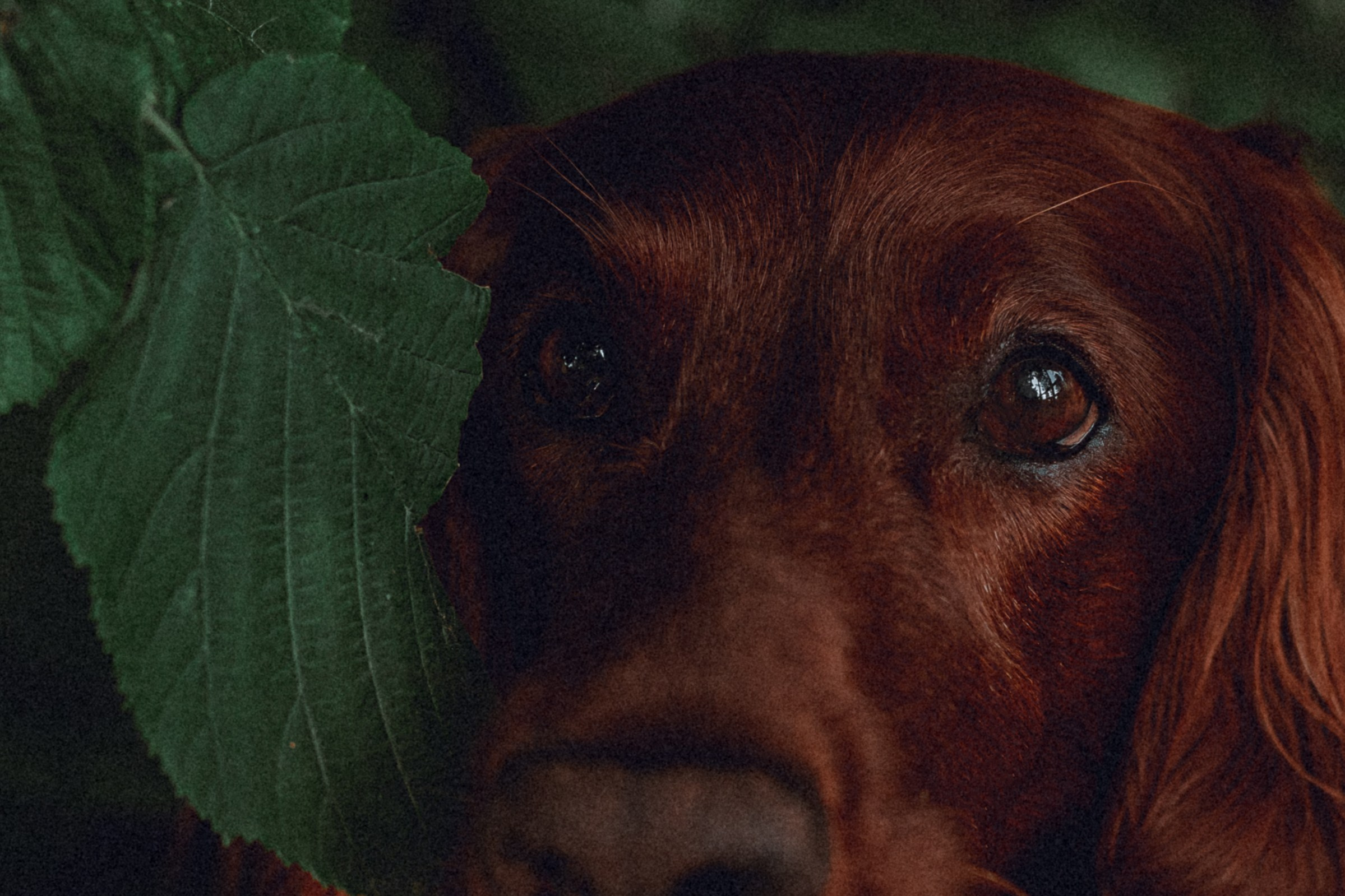 Маша и Джерри