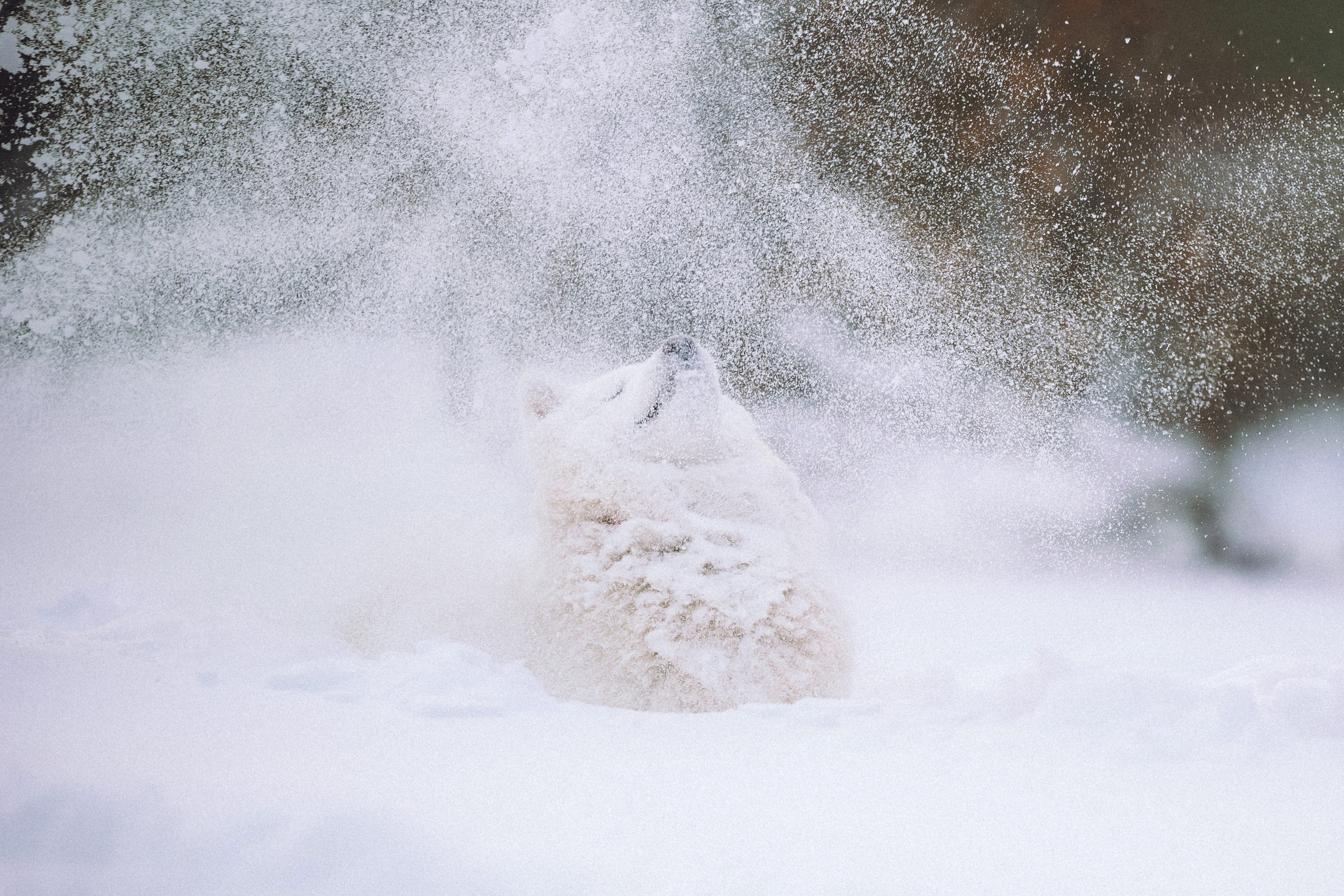 Мария и Мася