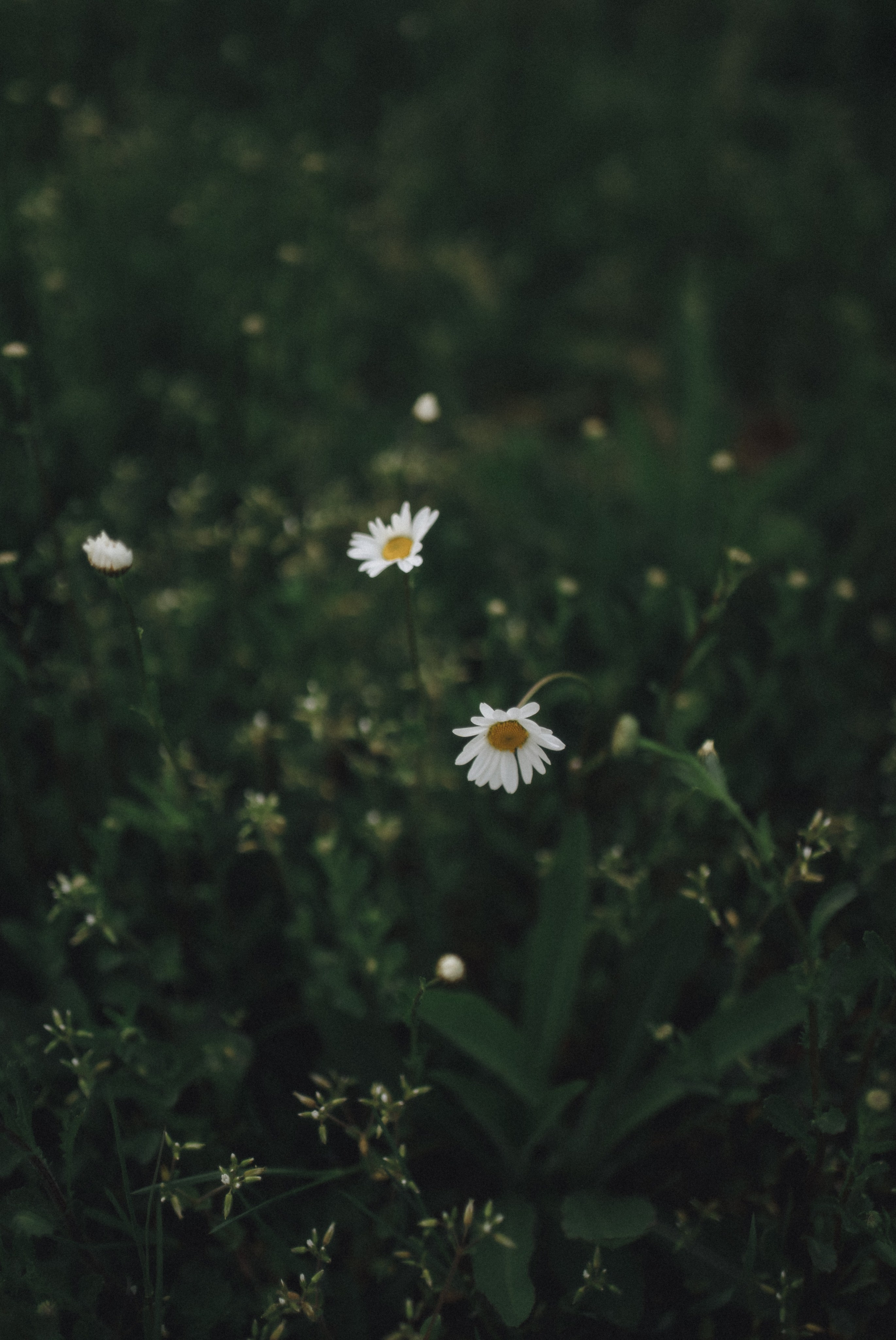 Kate & Vlad. Свадебный фотограф в Севастополе и Крыму| Tanya Sher
