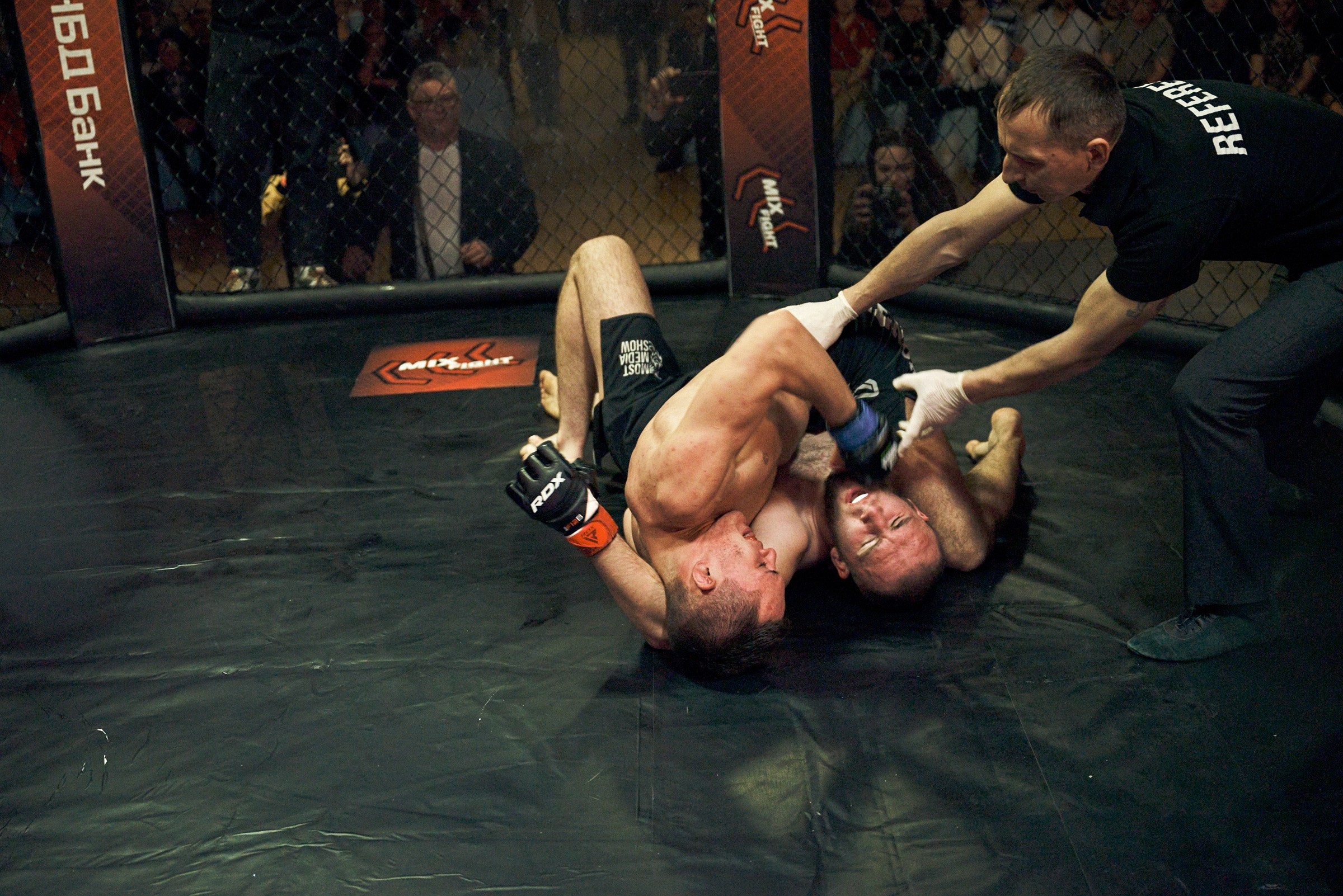 Бои. Маляревич Дмитрий свадебный фотограф