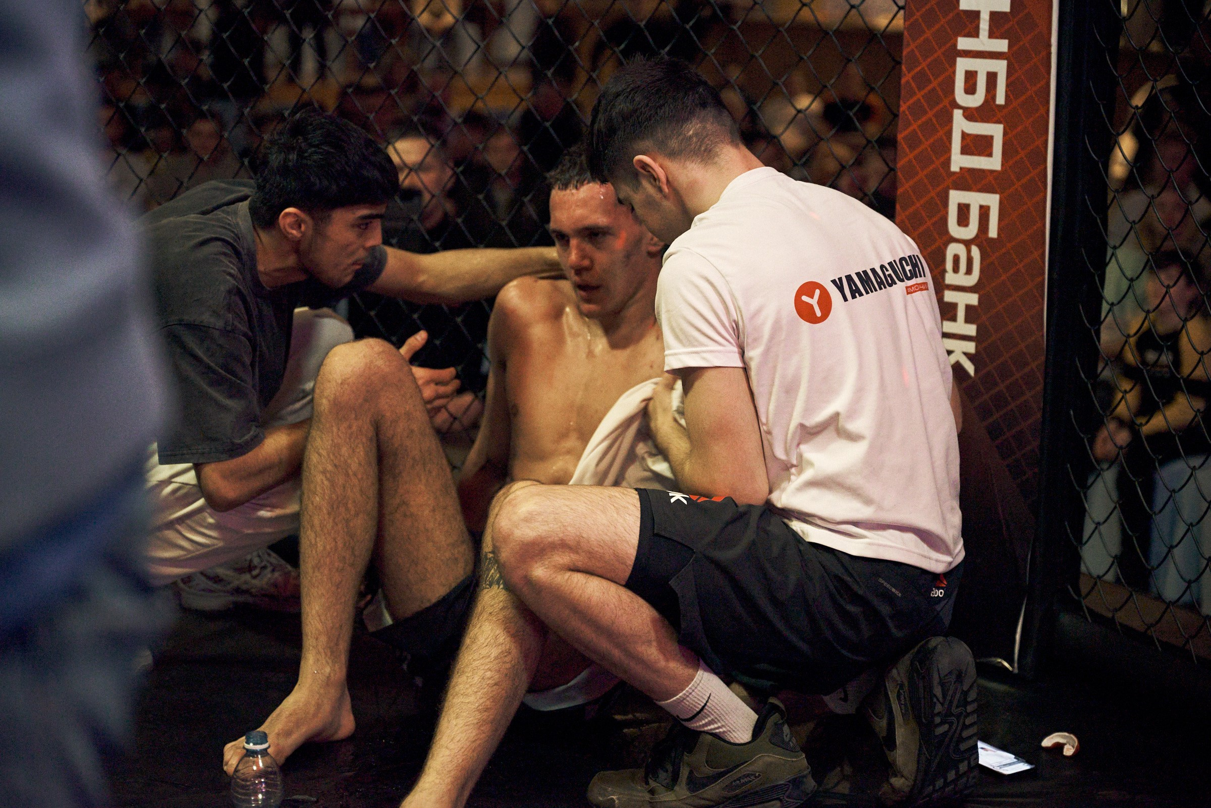 Бои. Маляревич Дмитрий свадебный фотограф