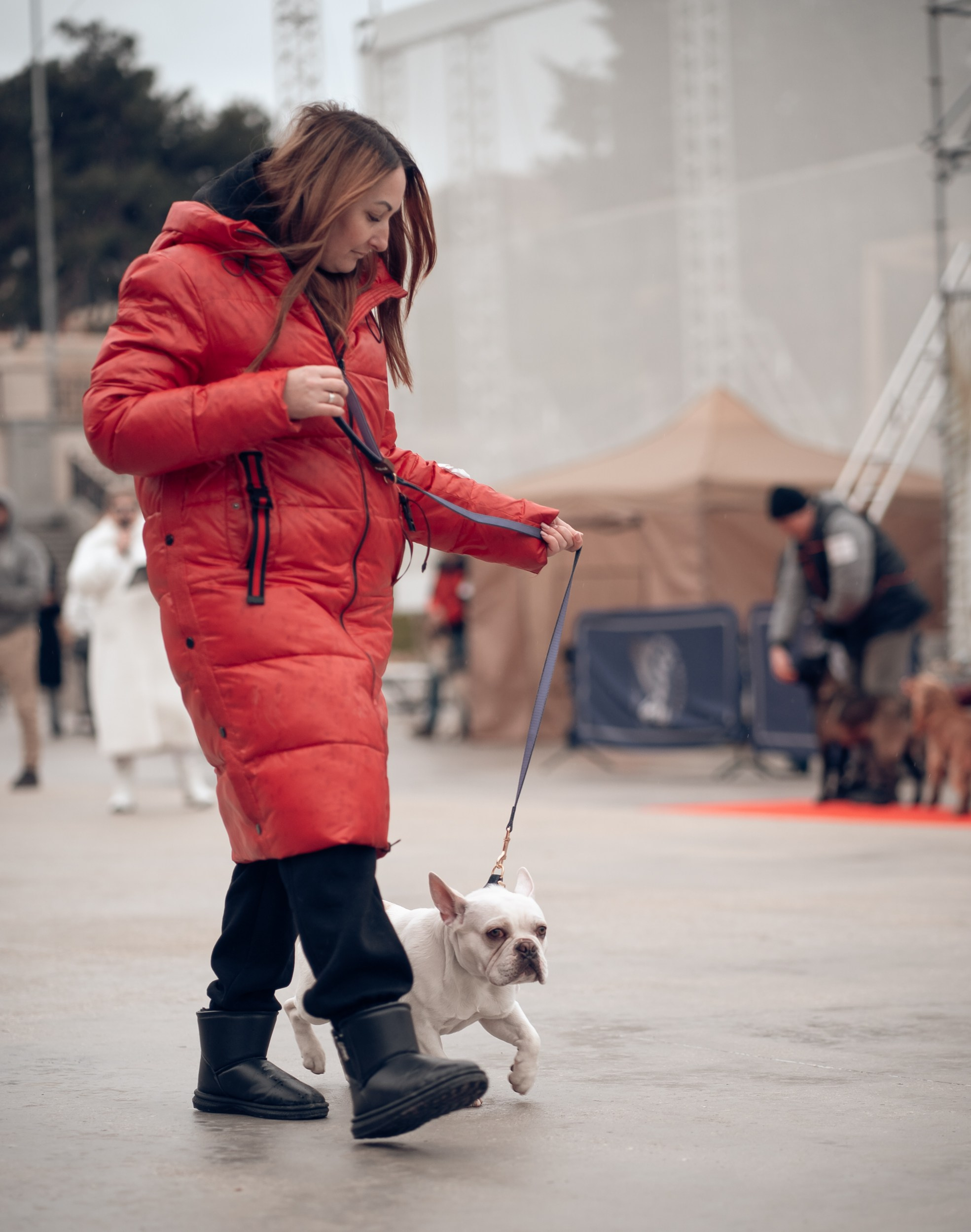 Благотворительная выставка собак в Новом Херсонесе г. Севастополь. Церковный фотограф Севастополь