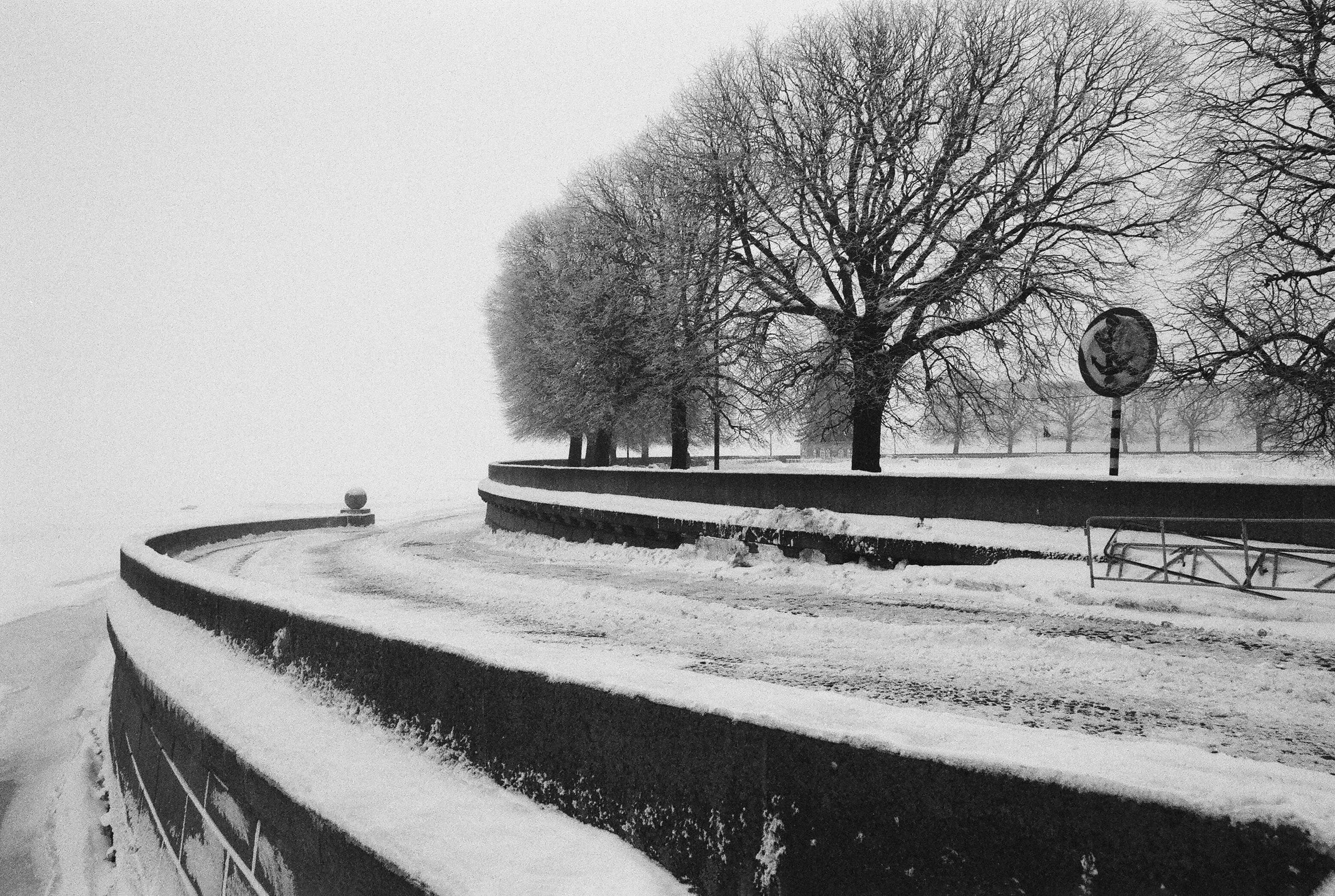 Фотографии черно-белые. Свадебный и семейный пленочный фотограф в Петербурге Истомина Ирина