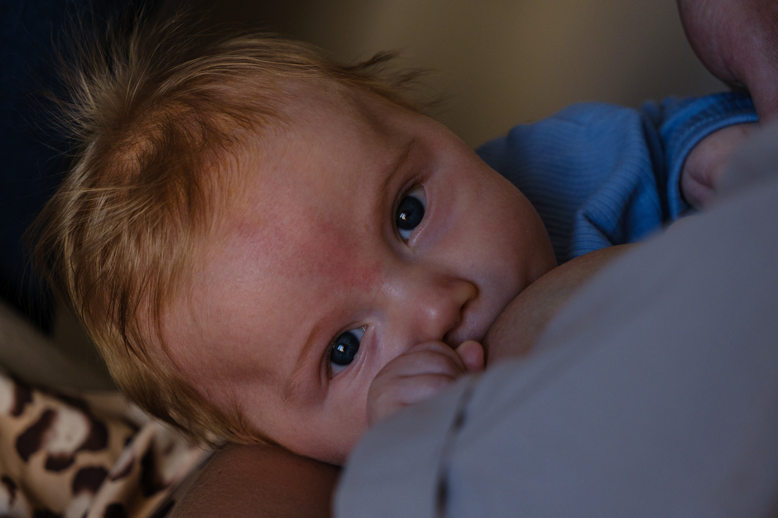 В гостях у маленького Саши!. Фотограф Евгения Войко Тюмень