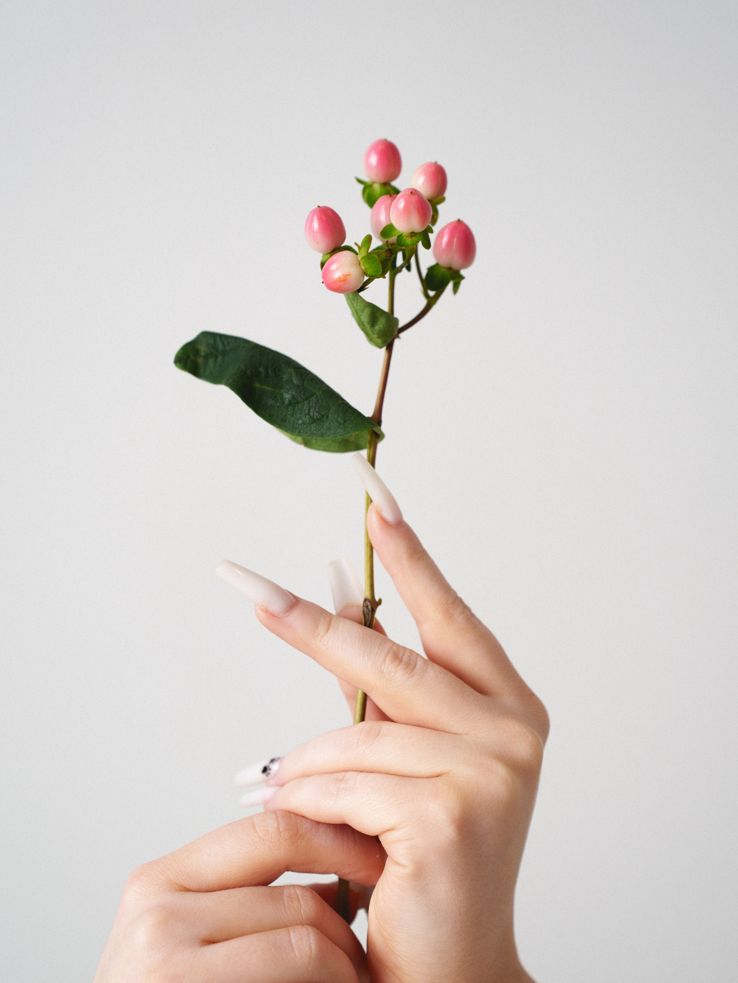 Цветы (контент к 14 февраля). Иван Упоров — фотограф, рилсмейкер чебоксары