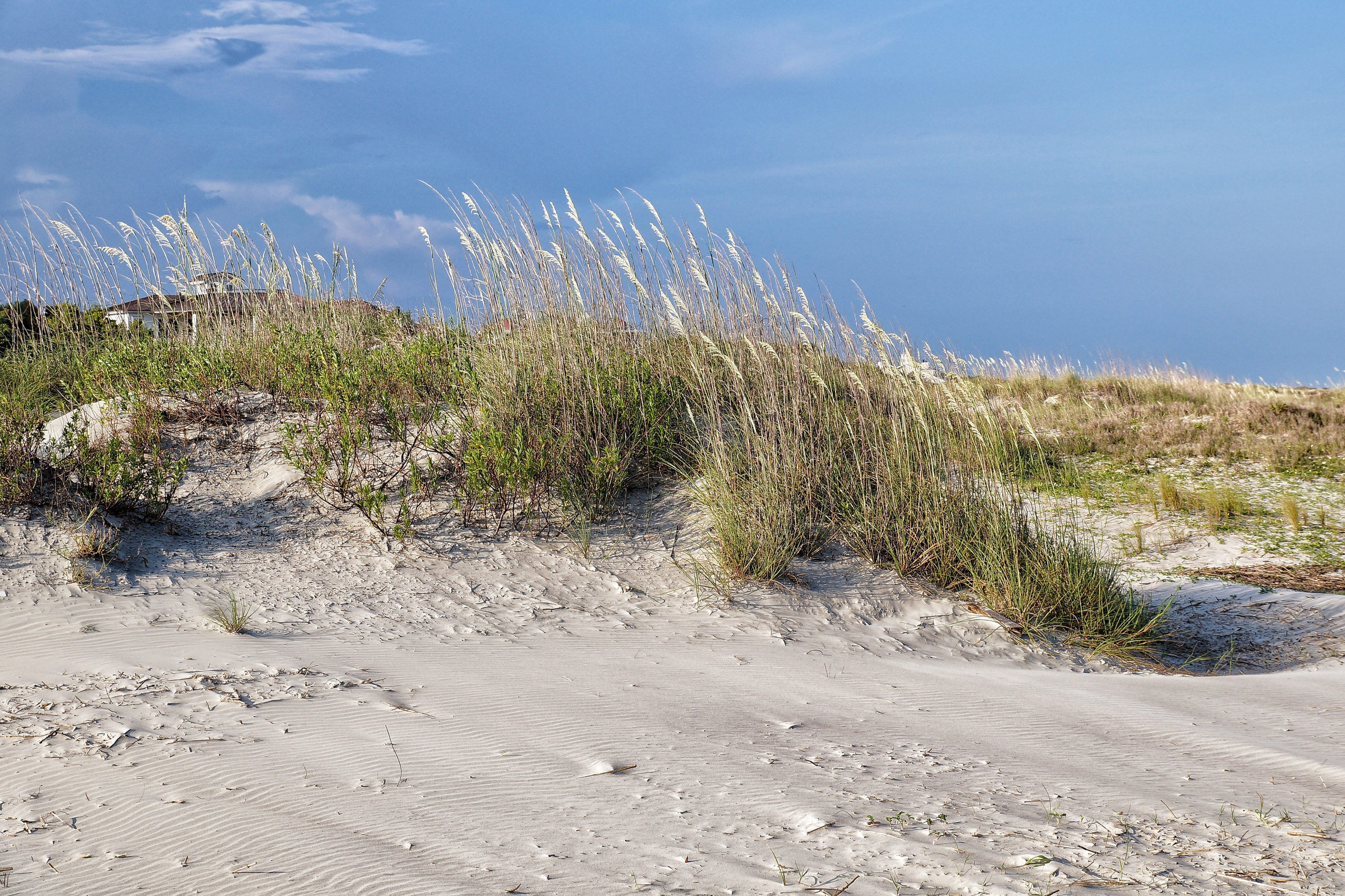 Shore Thing. Мои фото