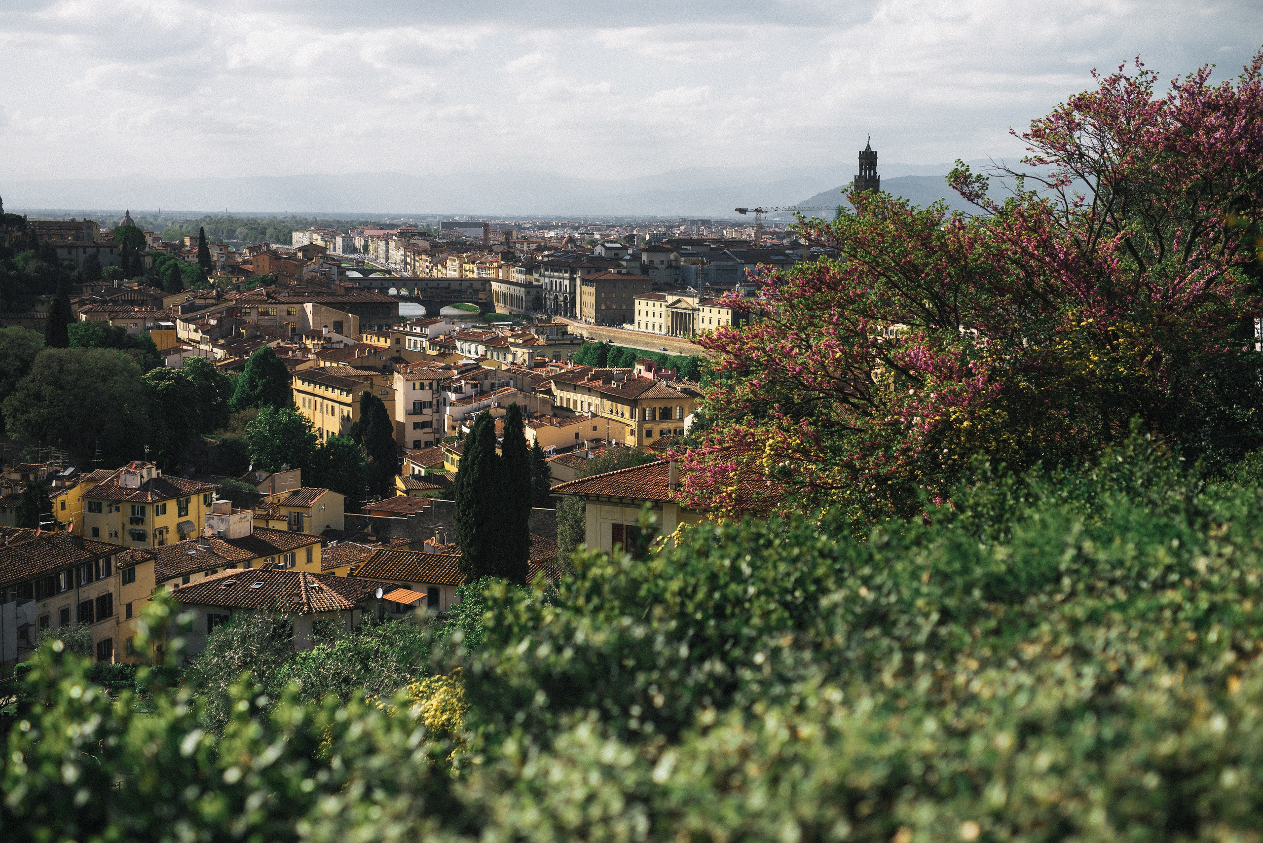 Свадебный фотограф Новосибирск
