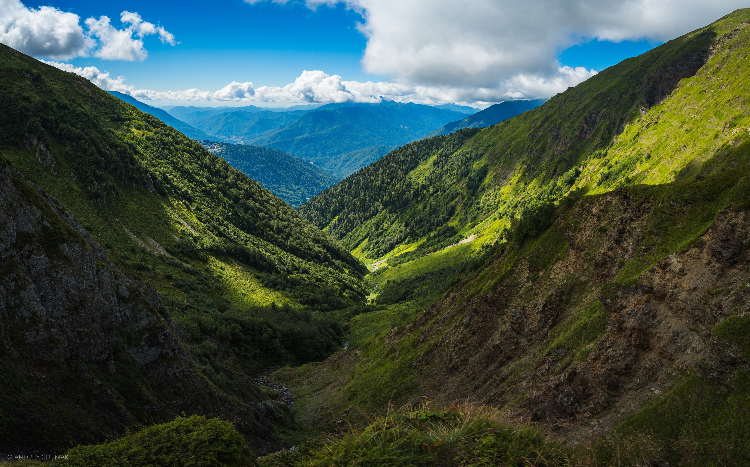 Фотограф в Сочи