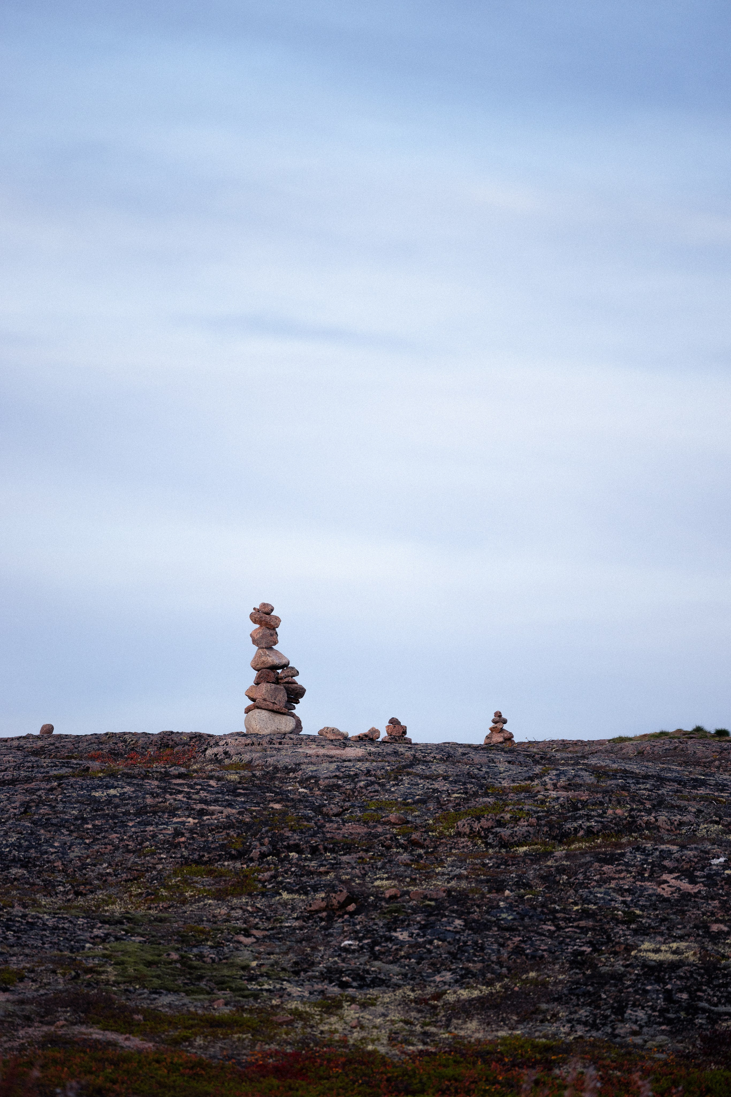 Кольский. Фотограф и видеограф анималист Аганина Дарья