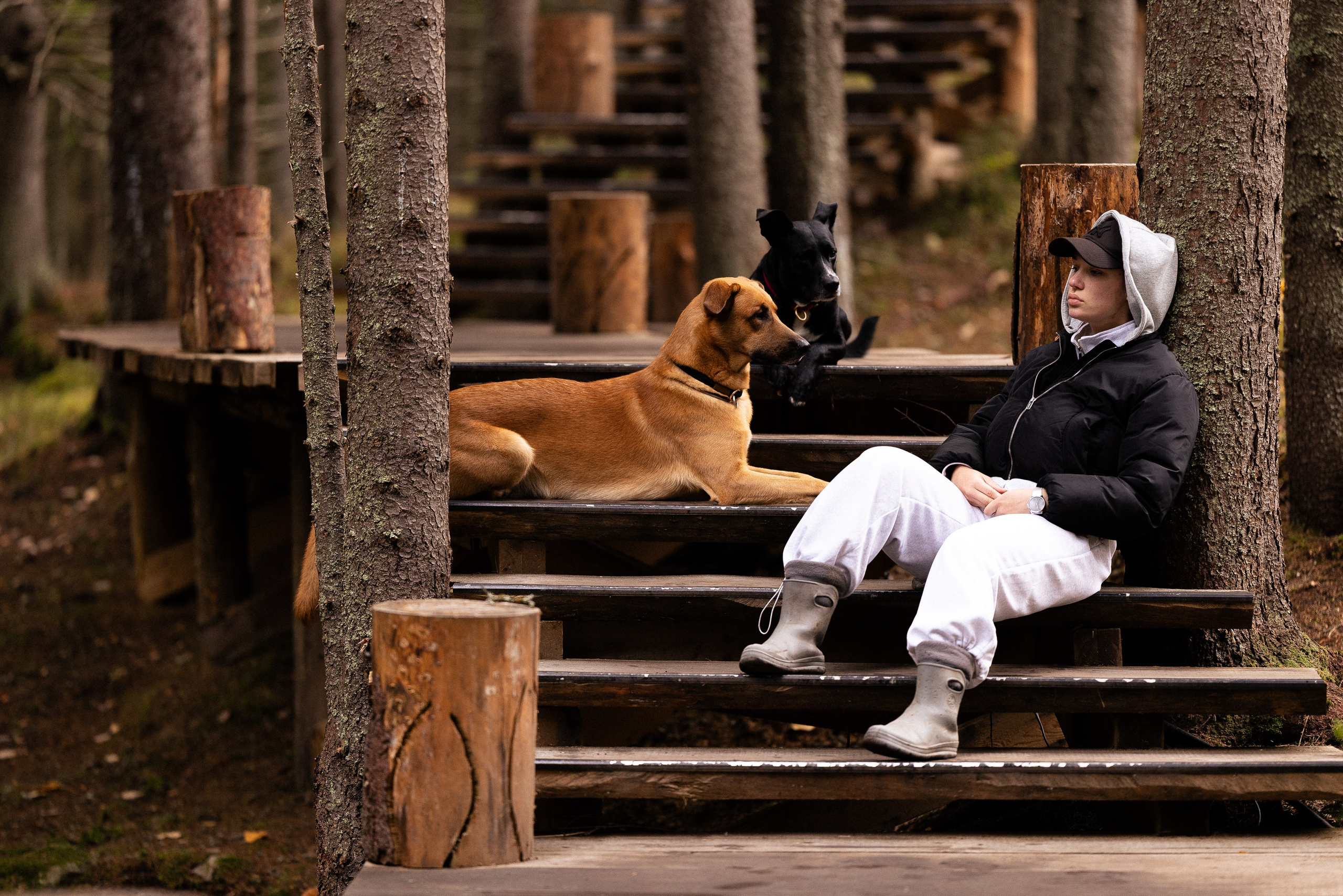 Karelia. Фотограф и видеограф анималист Аганина Дарья