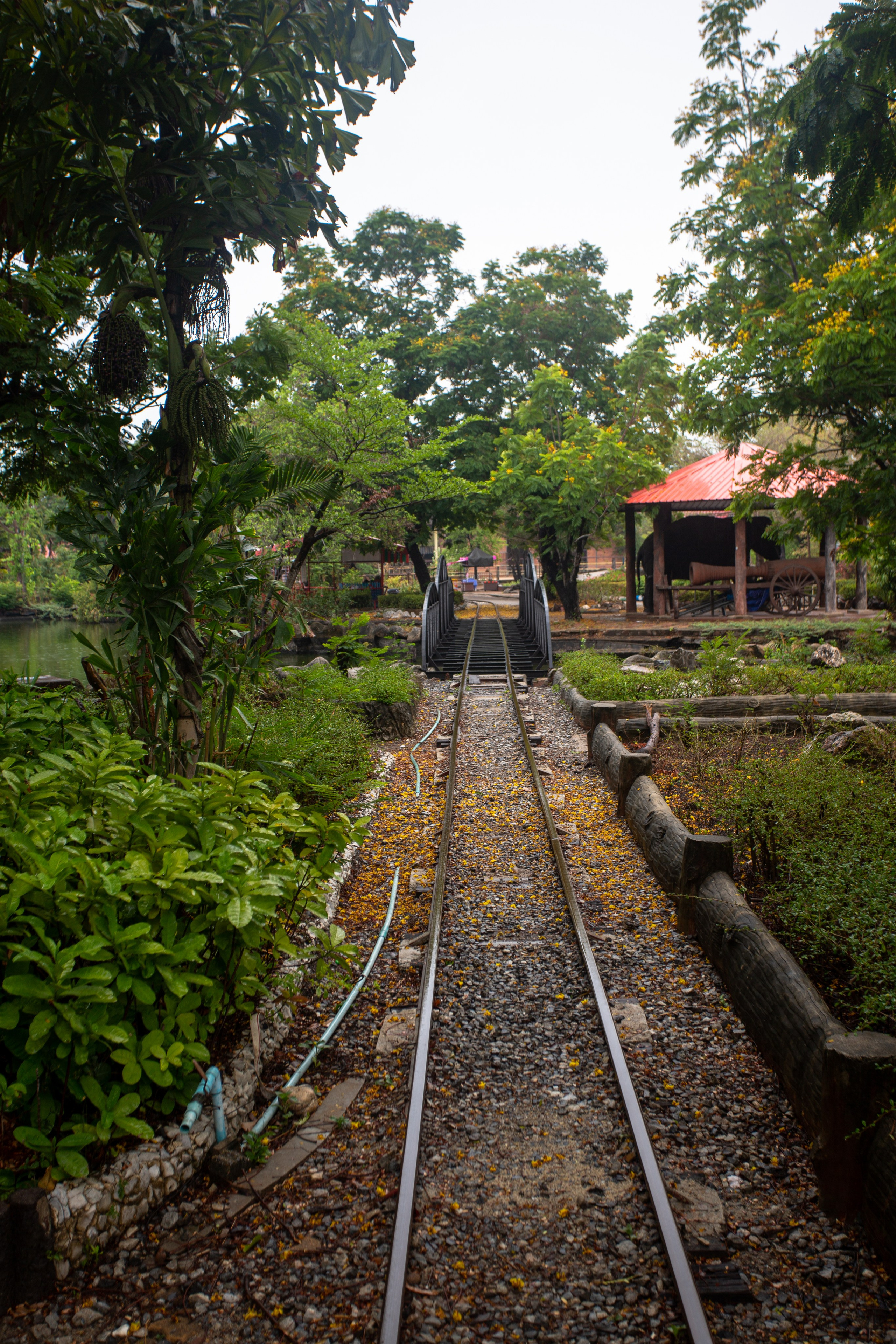 Samut Prakan Crocodile Farm & Zoo. Photographer Sonkina Tatiana (Tanya Ash)