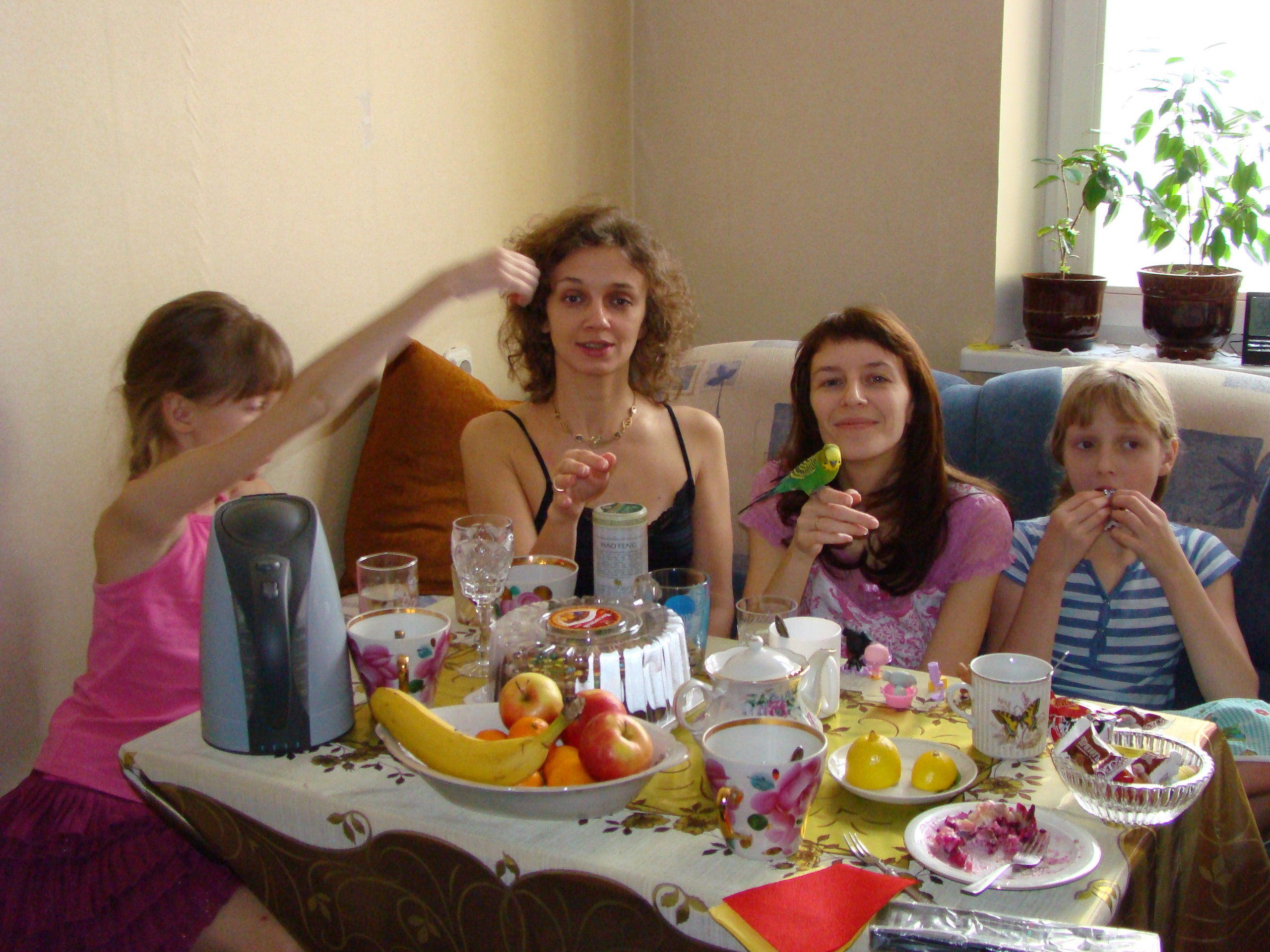 Новый Год. Семейный, Свадебный фотограф СПБ Питер— Романова Екатерина