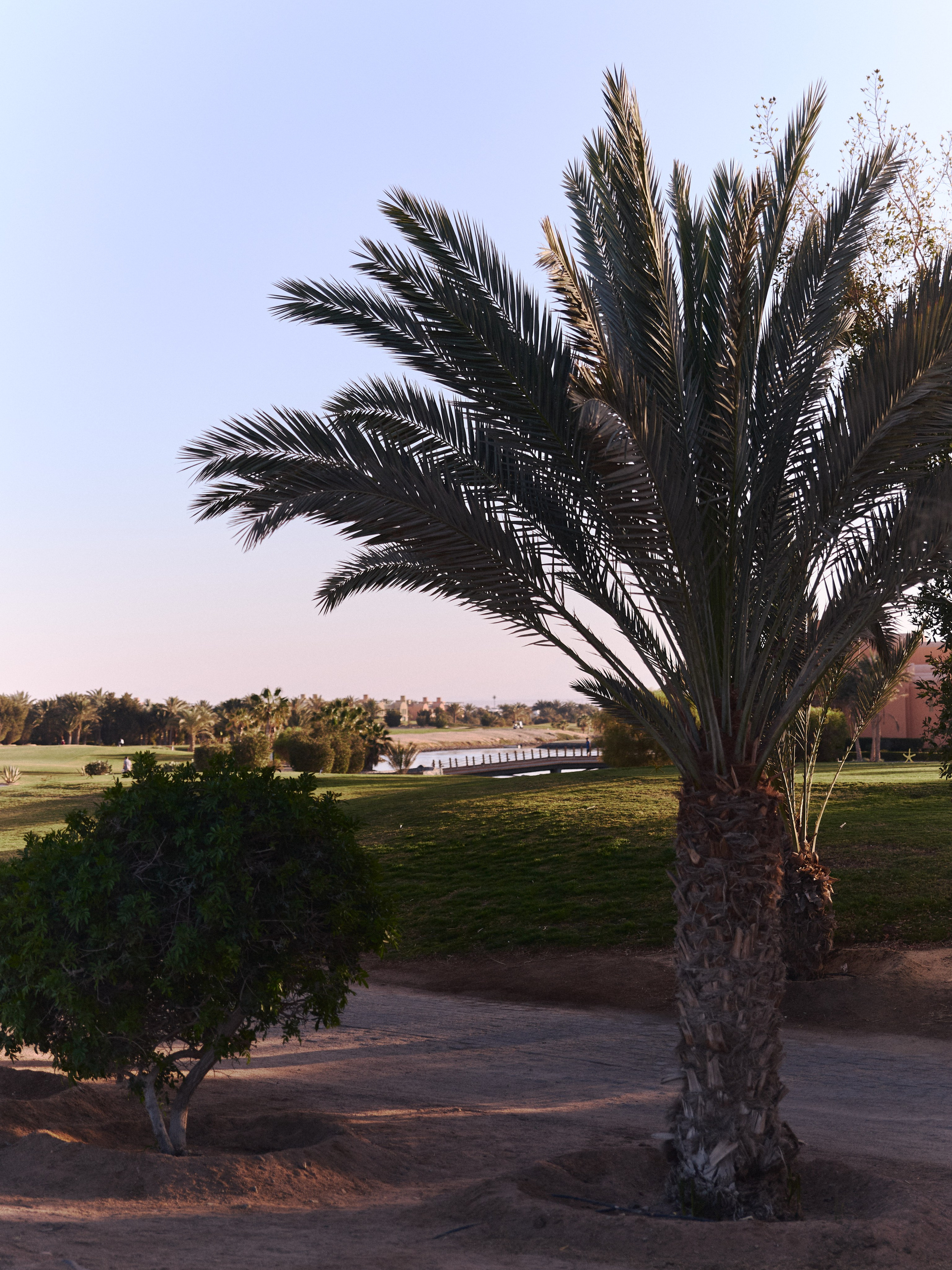 Улицы. Jorgis Talè — photographer, kind person, teacher of arts and other mag