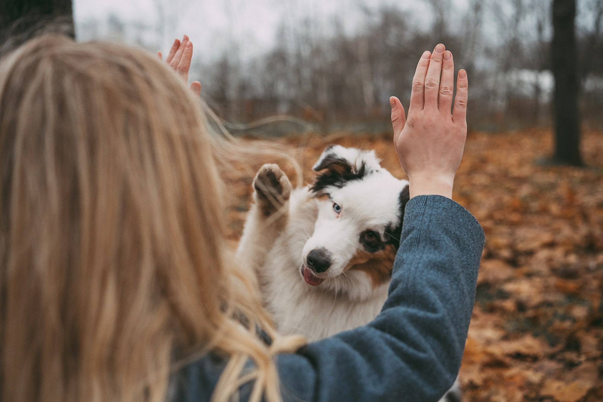 Лиза и Бублик. Фотограф анималист в Москве и Санкт-Петербурге Свиридова Анна