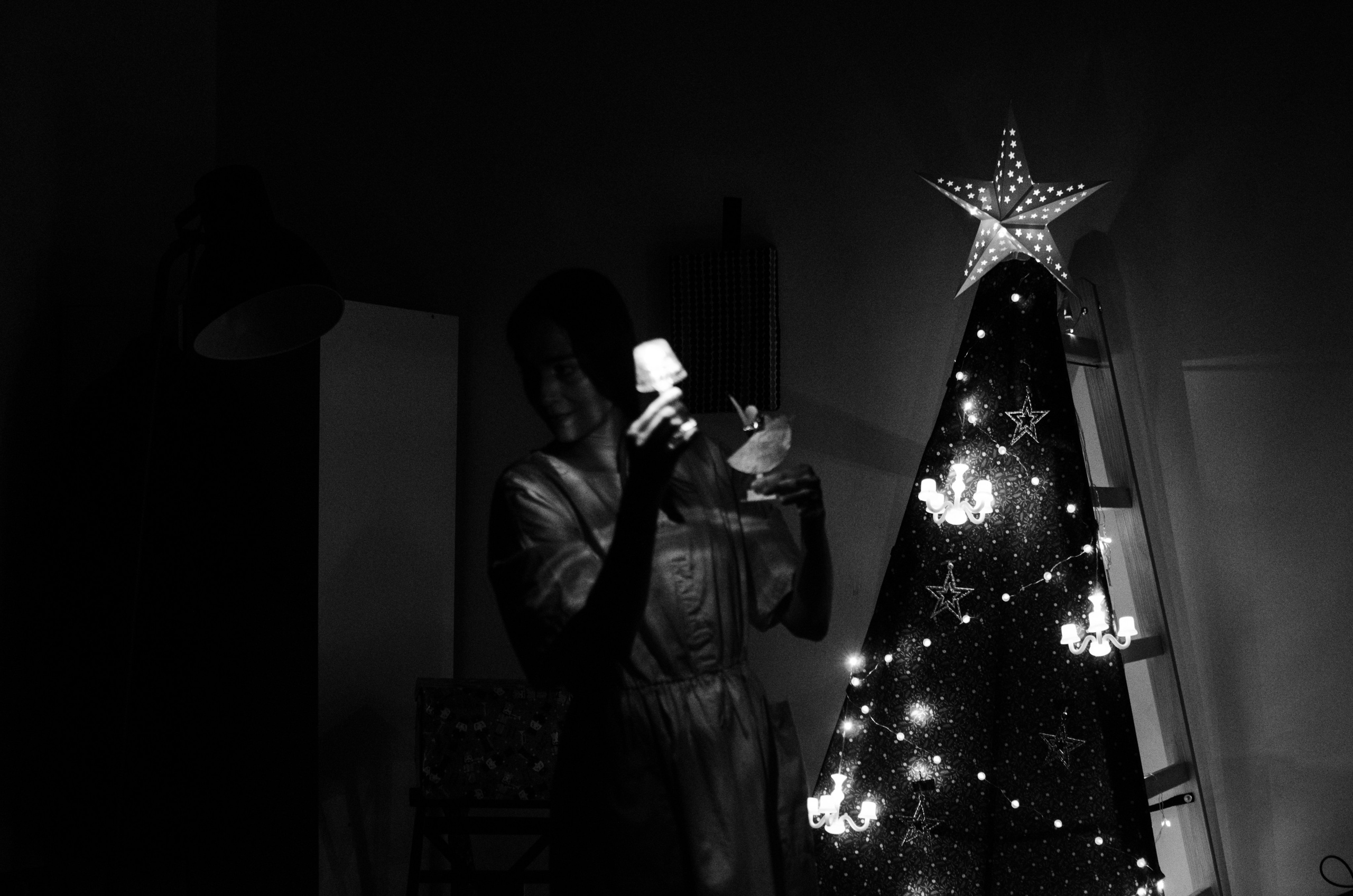 Performance «The Nutcracker». Event photographer Alena Iurchenko