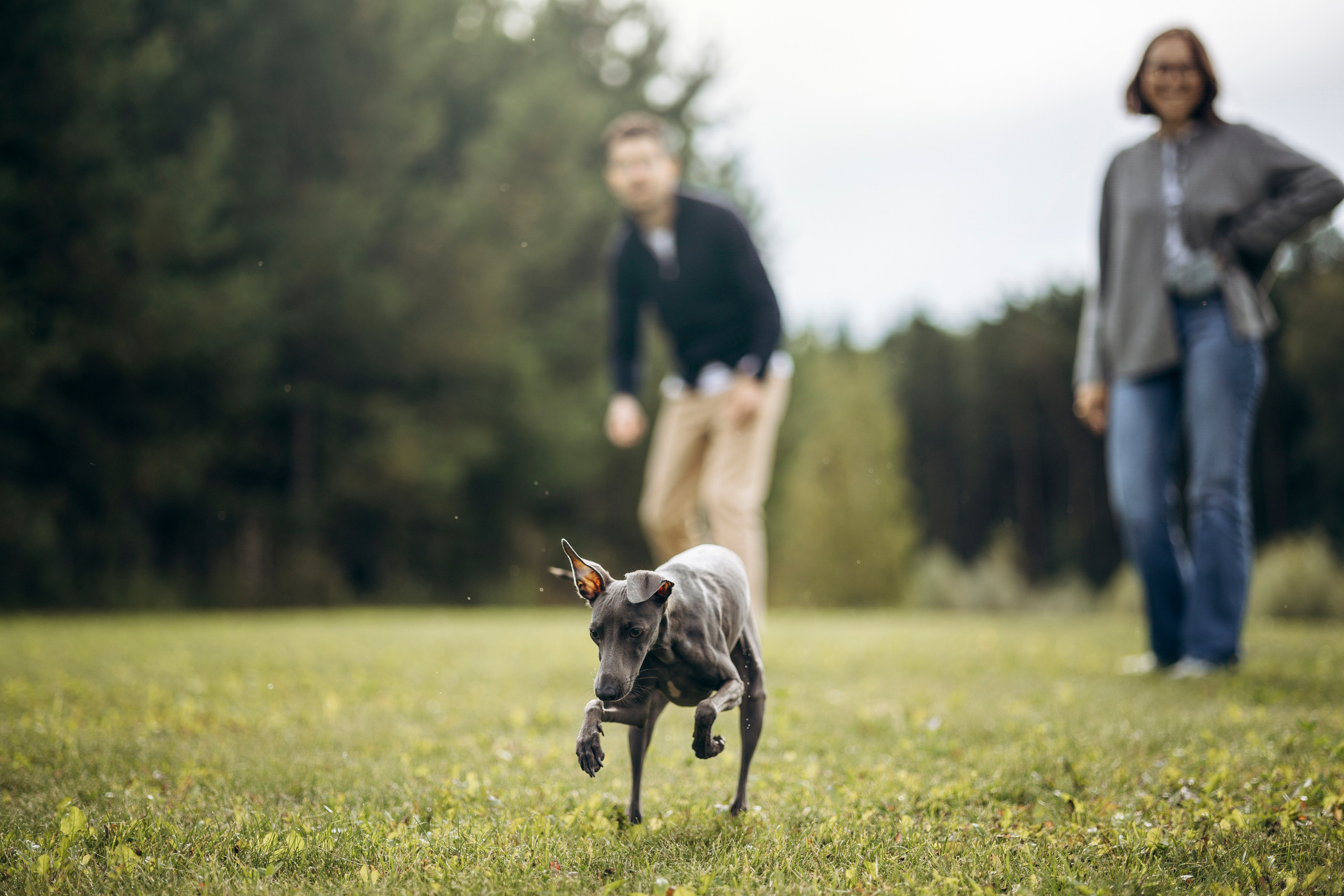 Лучик и ее семья. Фотограф — Анималист | Санкт-Петербург