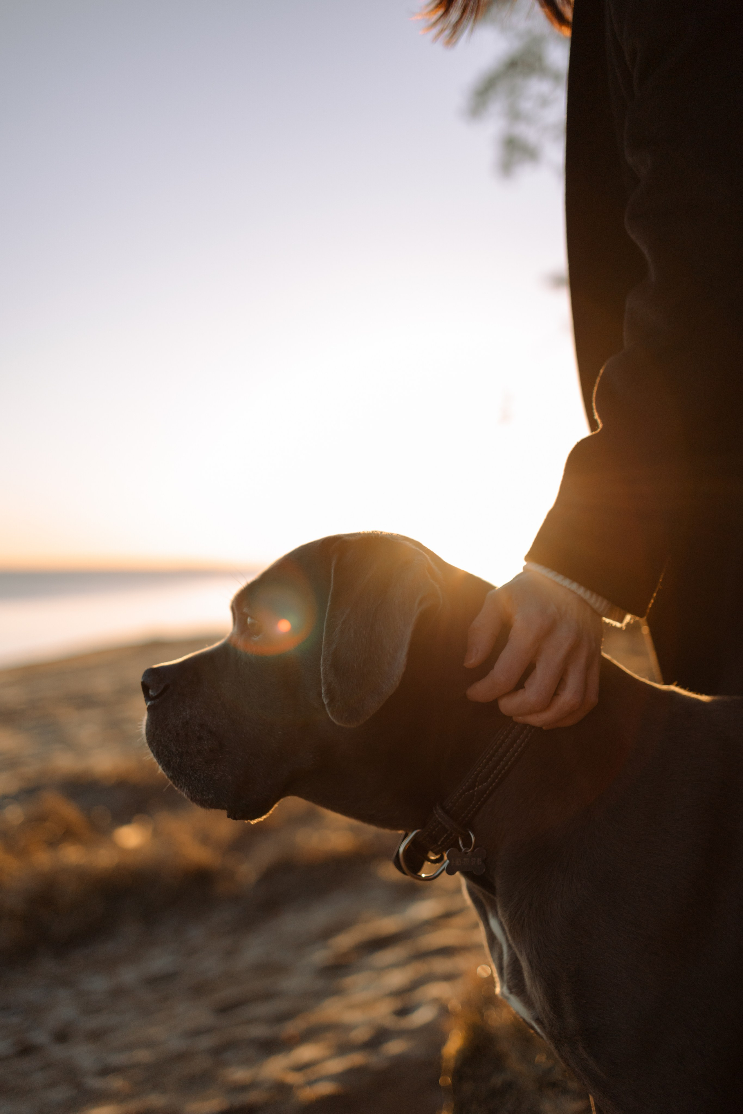 Анна и Лана. Фотограф — Анималист | Санкт-Петербург