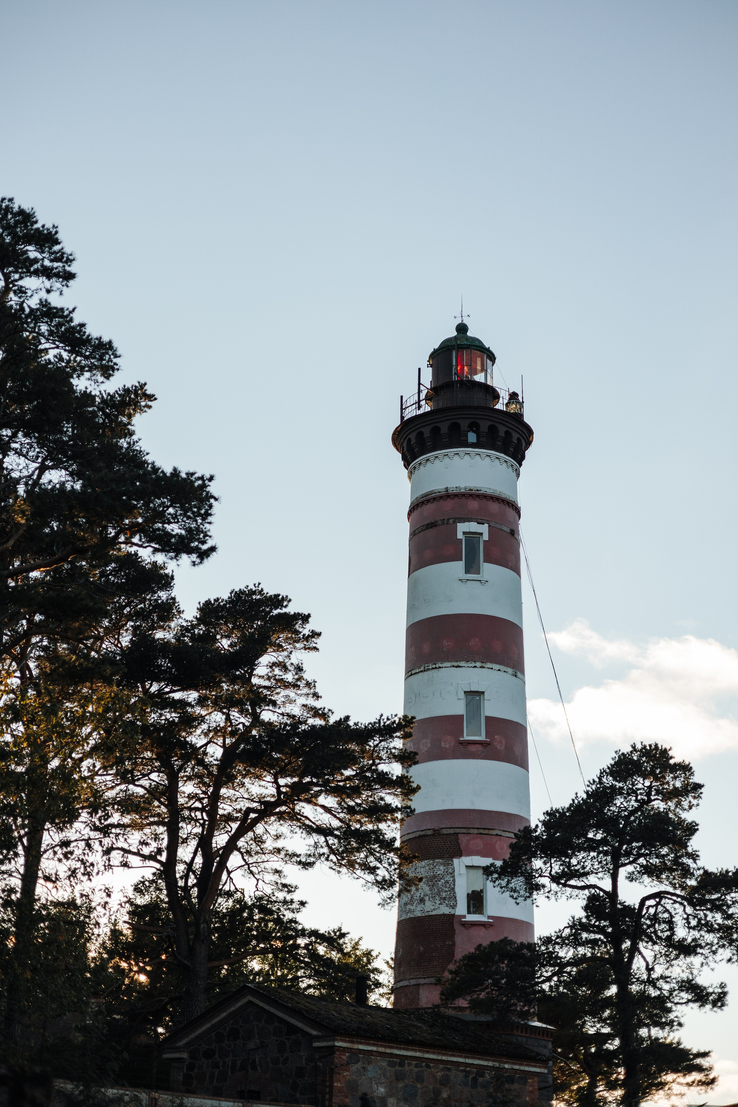 Верон, Гарри и их семья. Фотограф — Анималист | Санкт-Петербург