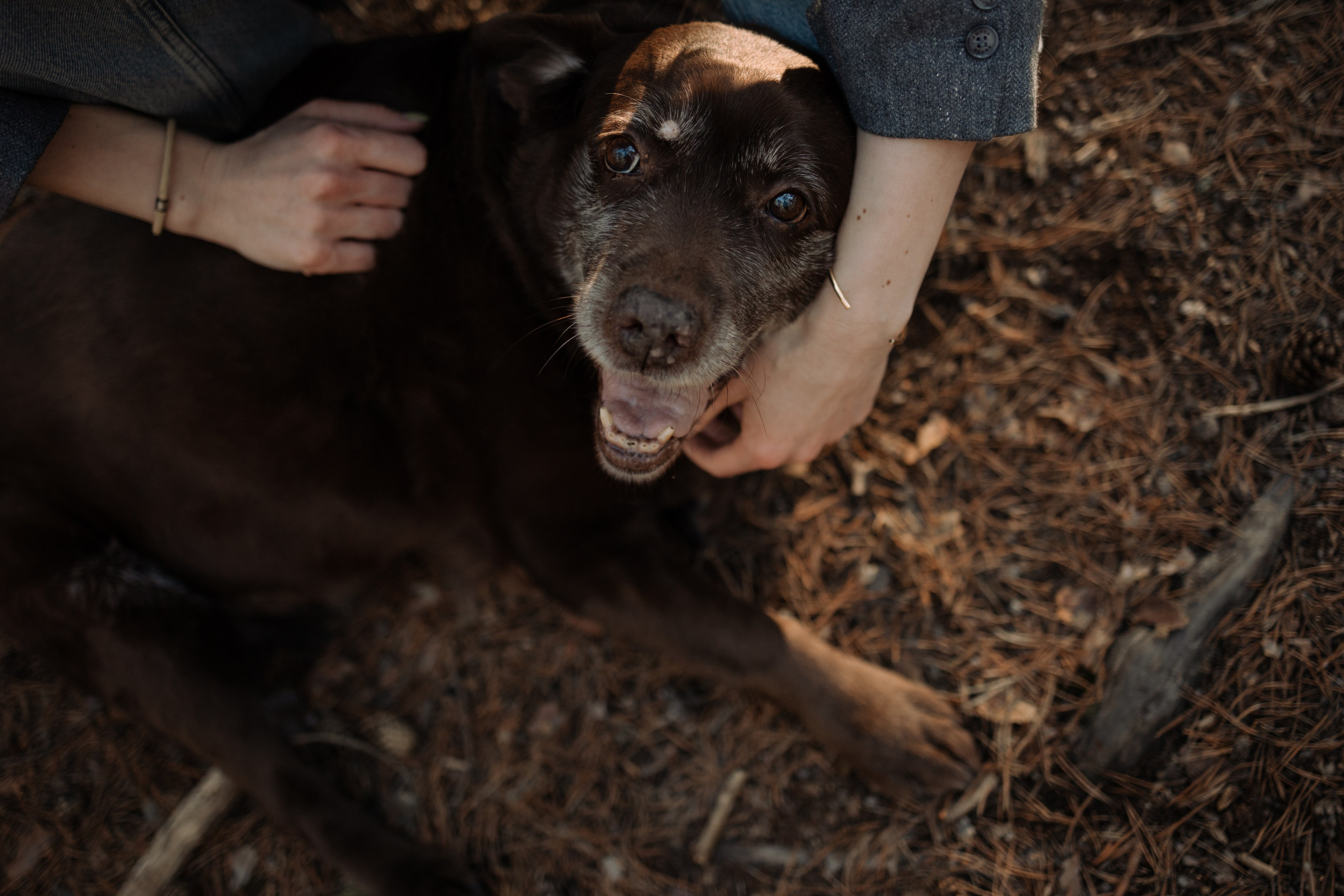Оля и Питоня. Фотограф — Анималист | Санкт-Петербург