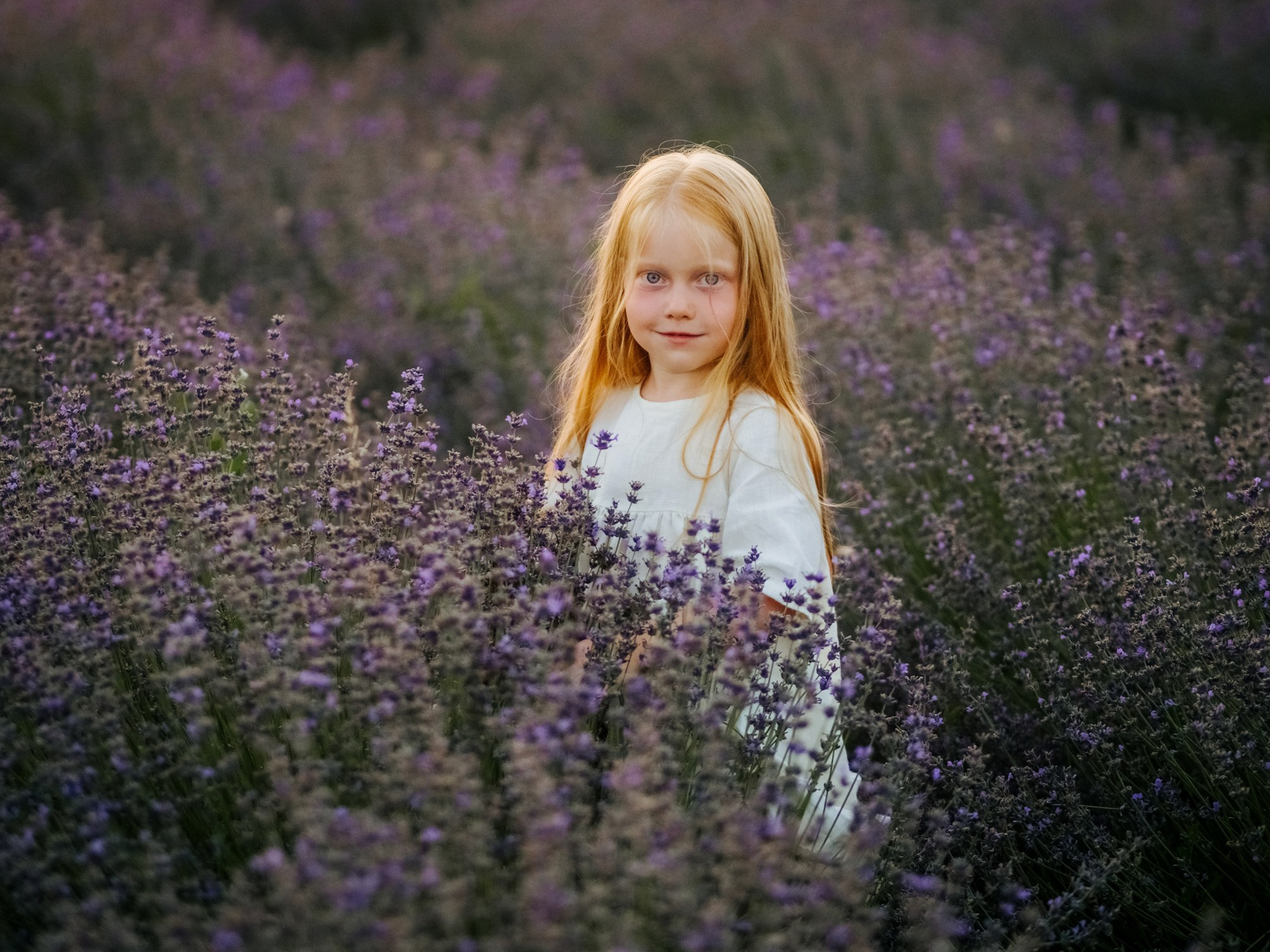 Лаванда. Семейный, детский, свадебный, фотограф в городе Анапа