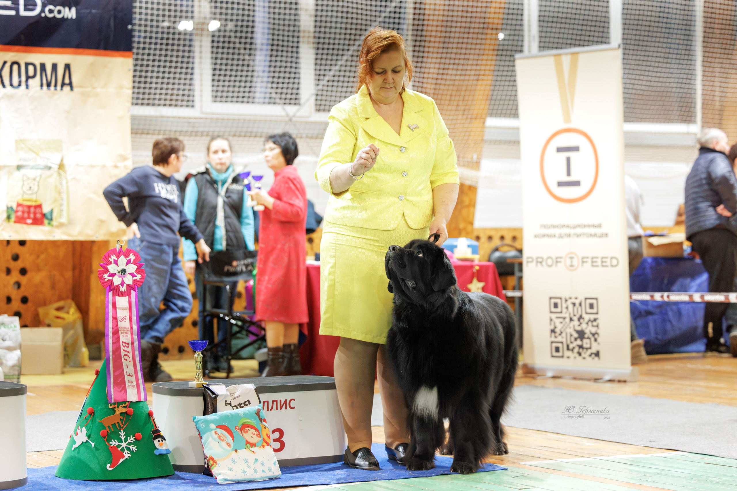 Тверь 21.12.2025. Фотограф-анималист Юлия Германика