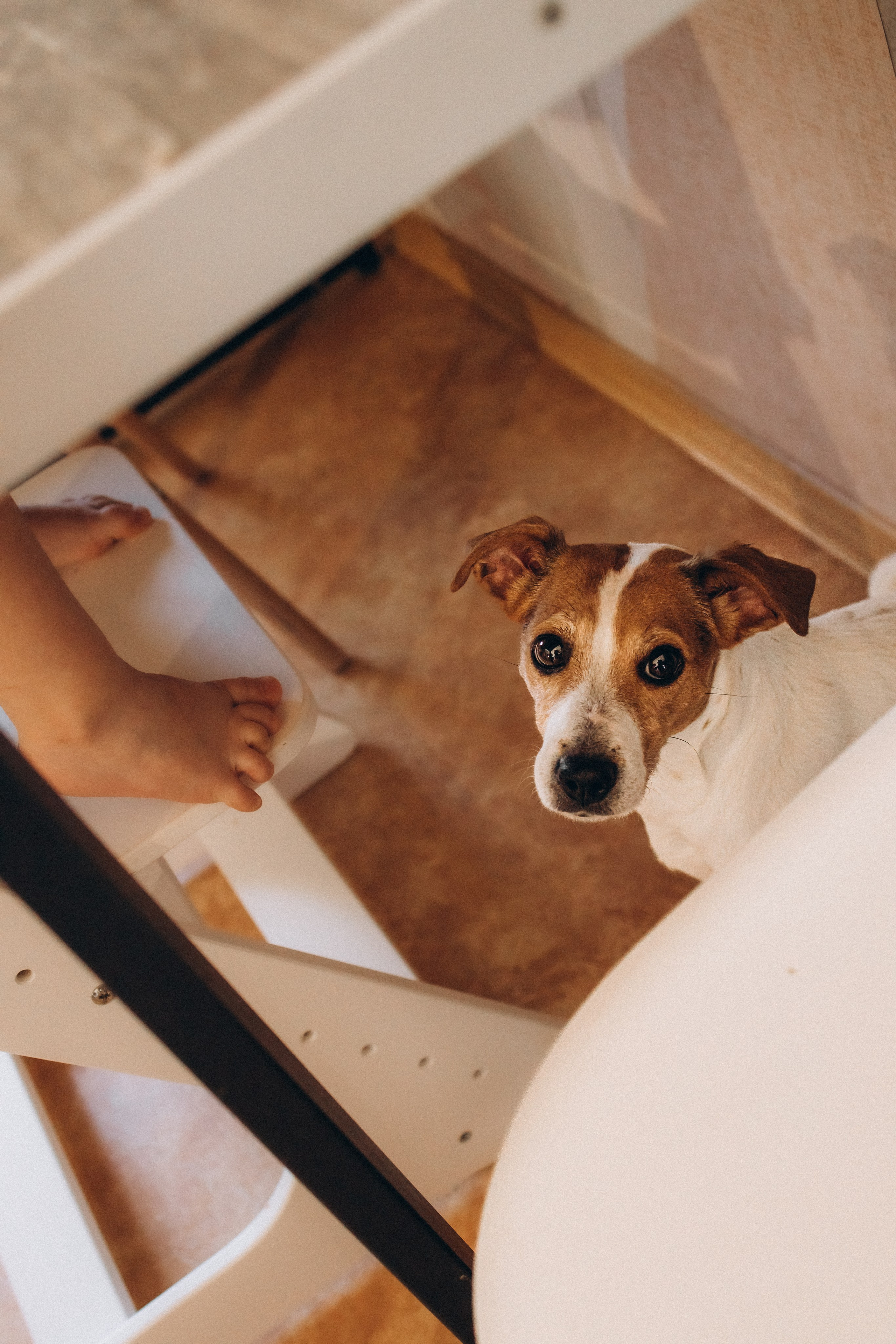 GOOD AT HOME. Фотограф Наталья Карякина|Челябинск