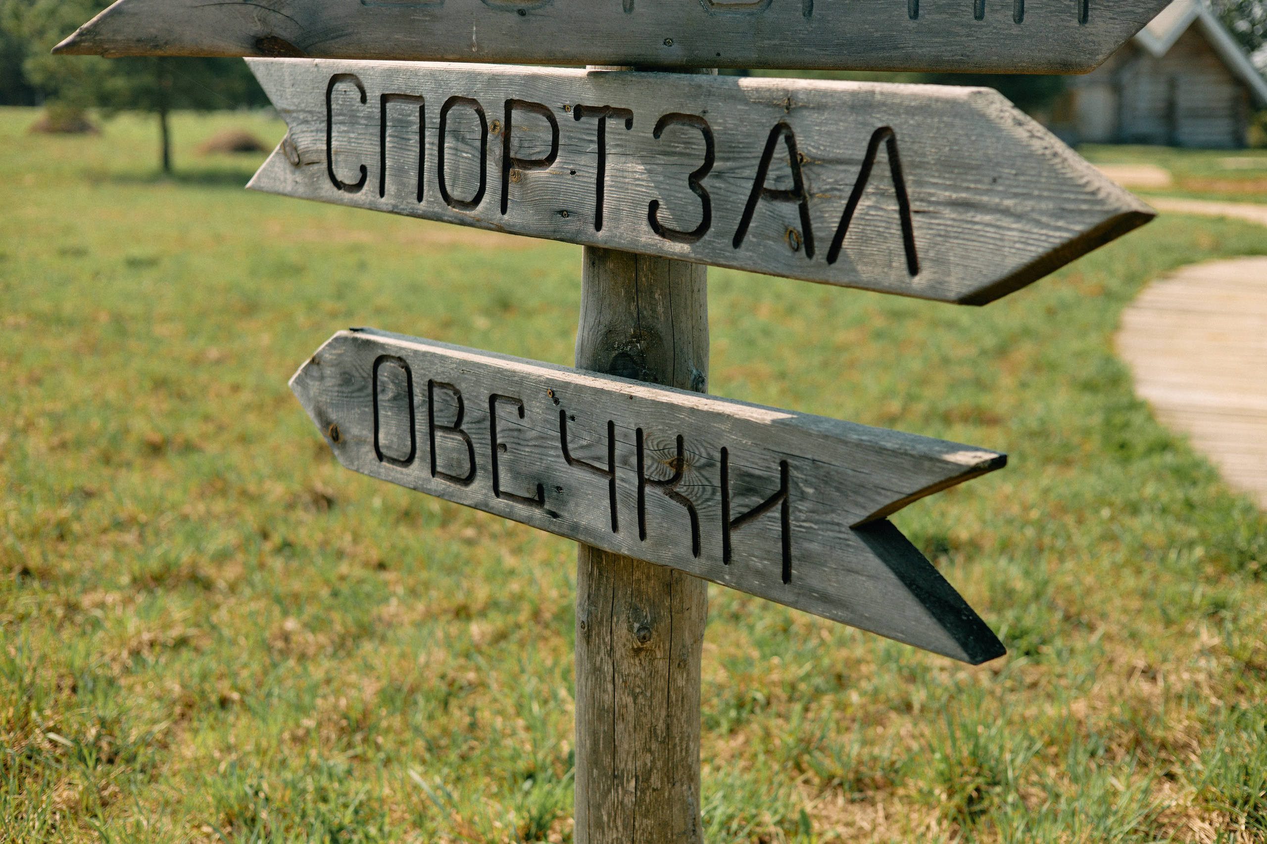 Бутик-отель Поле летом. Профессиональный Фотограф во Владимире, в Москве и в Суздале — Полина Романычева