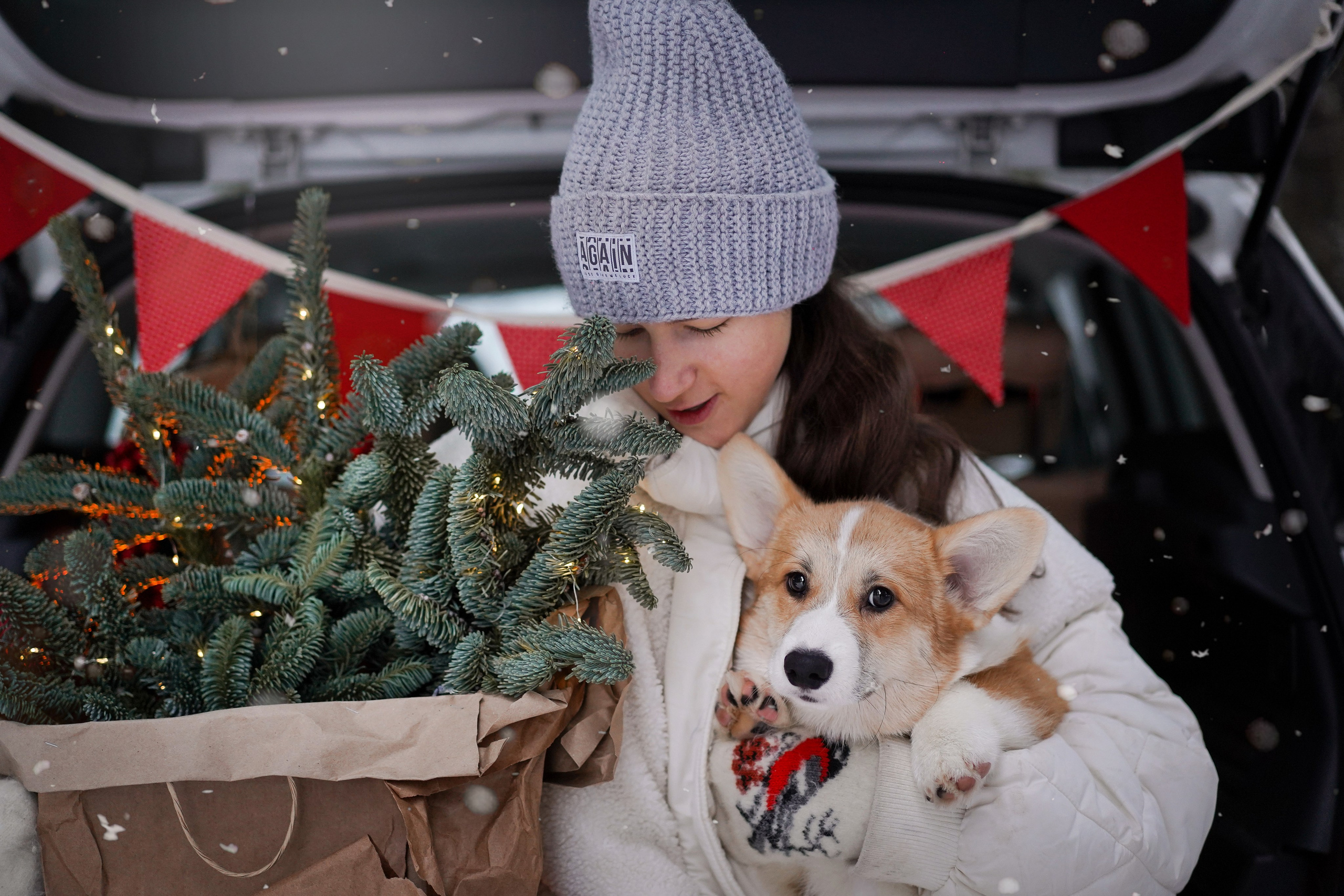 Катя Рокки и Честер. Фотограф-анималист в Санкт-Петербурге Яна Мартынова