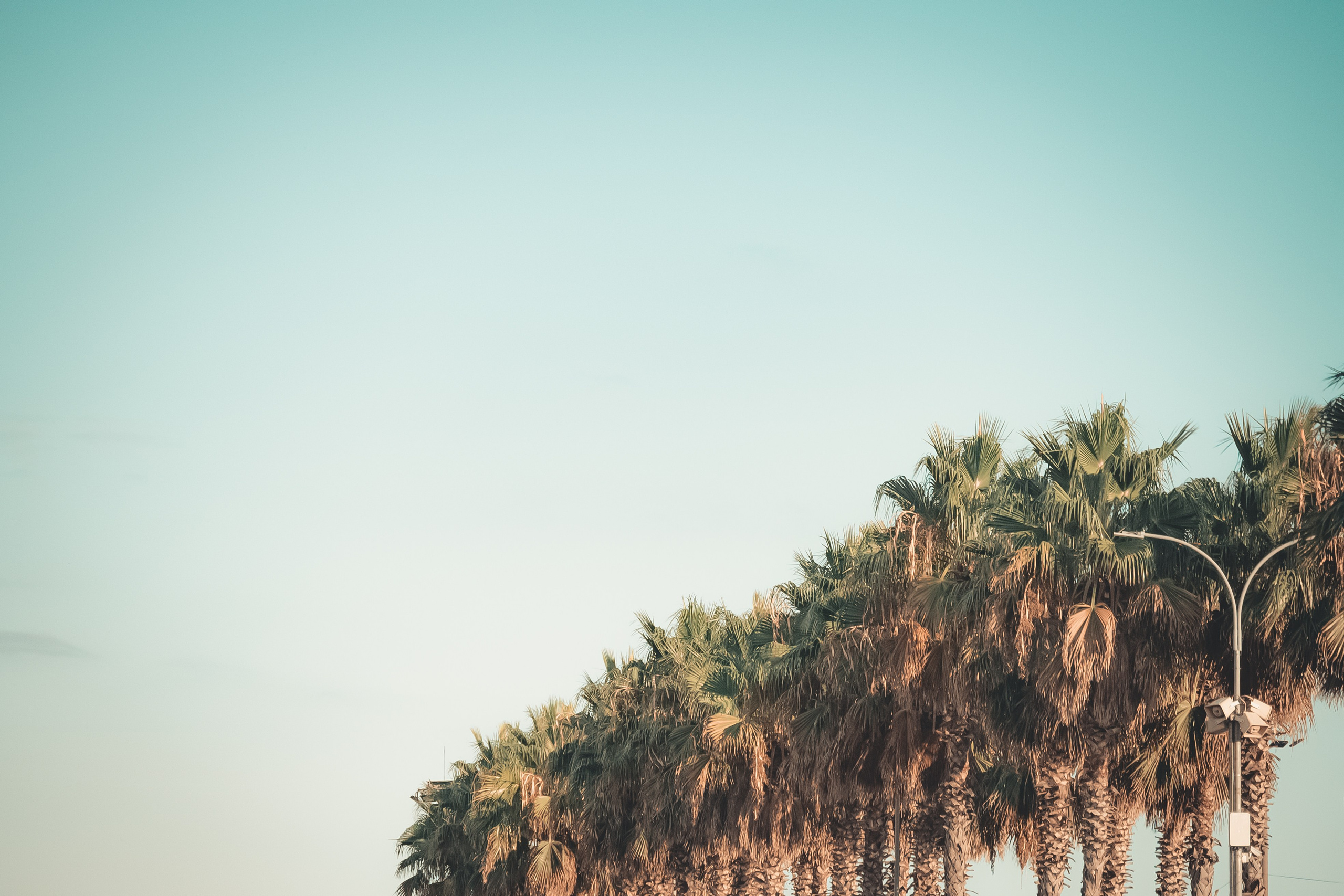 Арх Сочи '25. Место {не}банальных фото