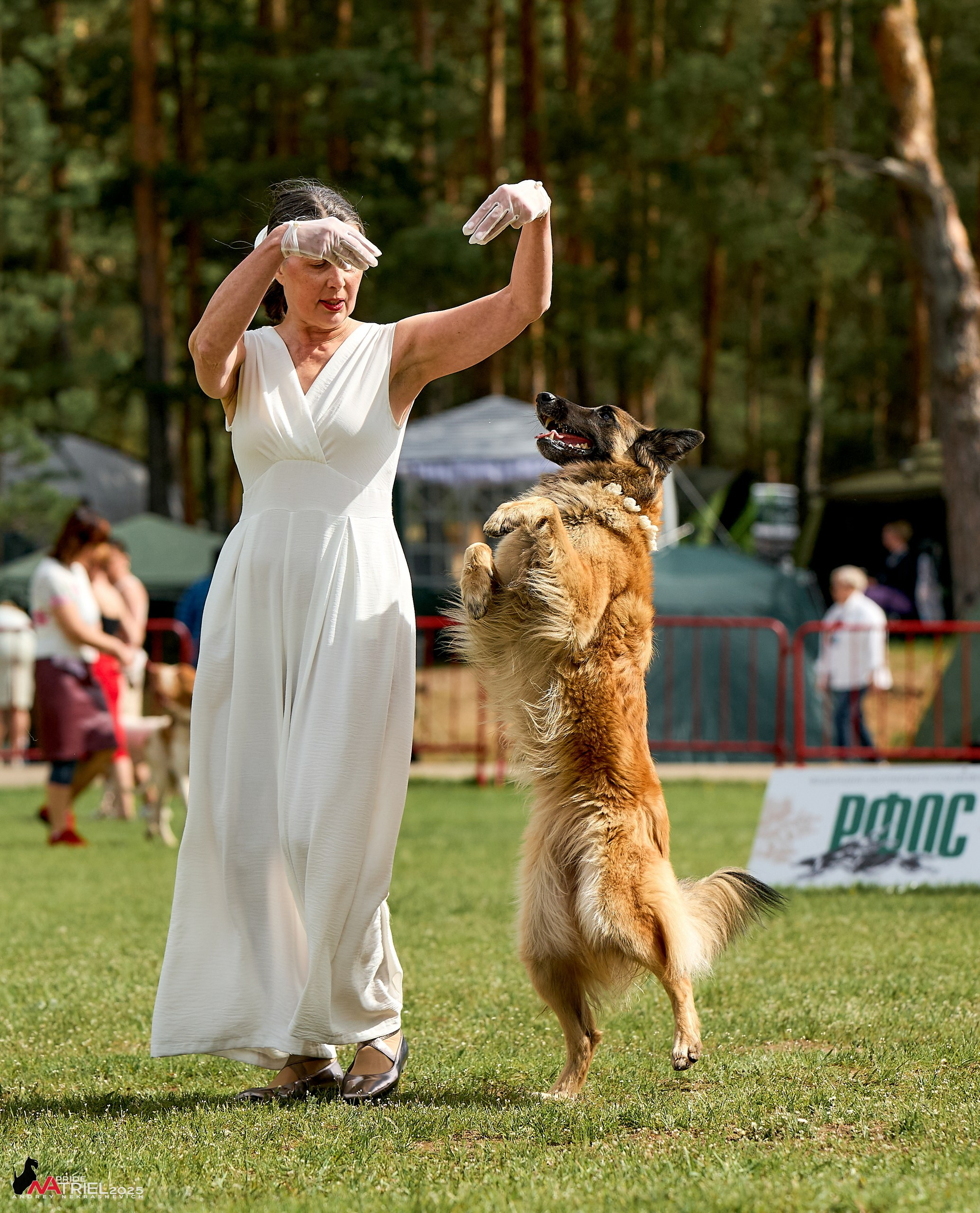 Выставка собак Суздаль-Владимир
