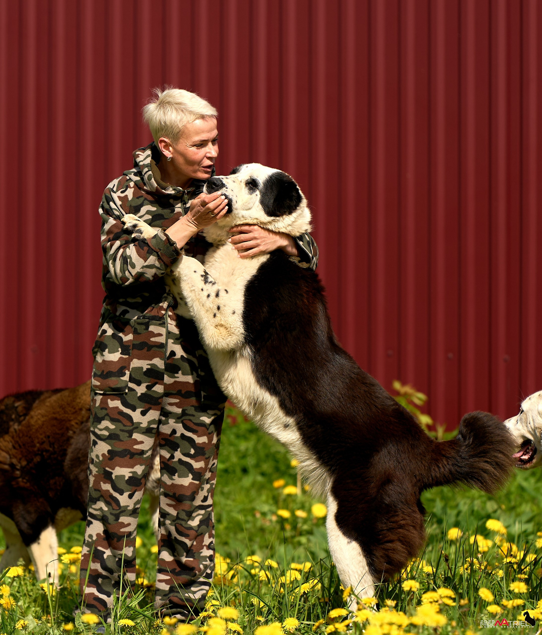 Съемка в питомнике